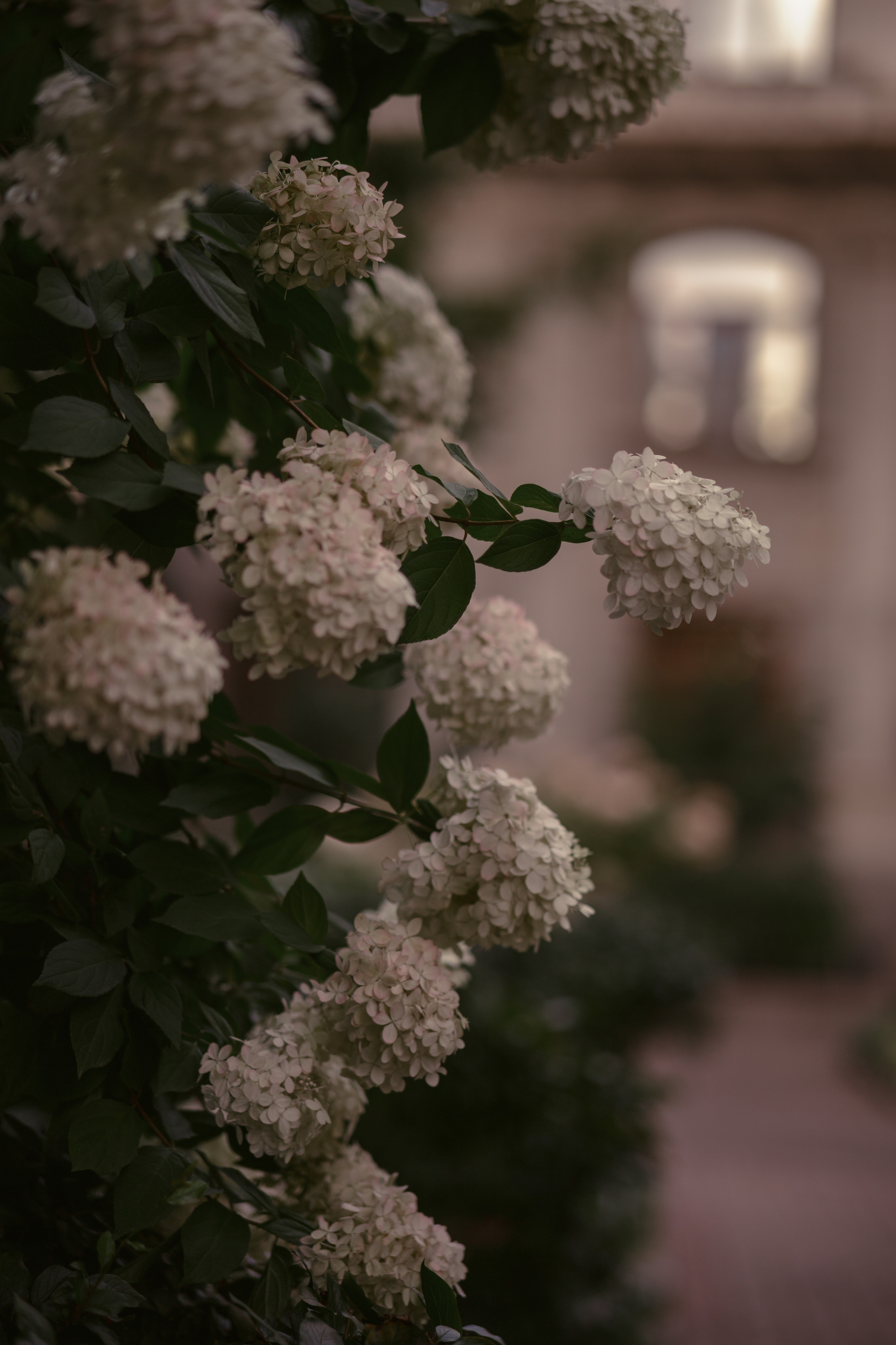 Виталия. Фотограф в Сочи Светлана Сарры