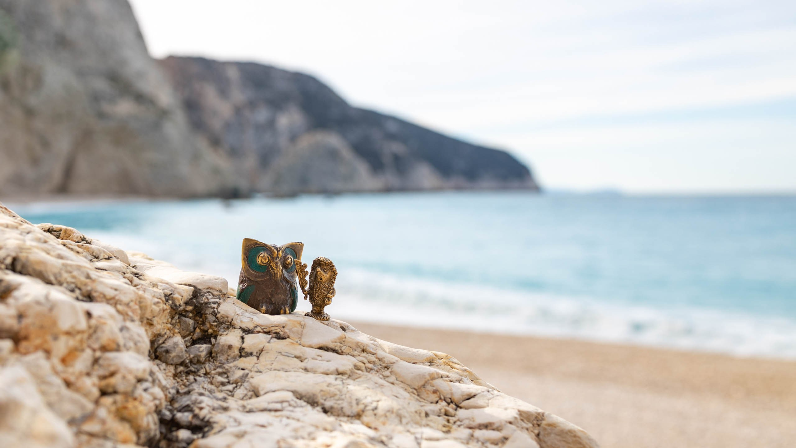 Ёжик и сова. Фотографии