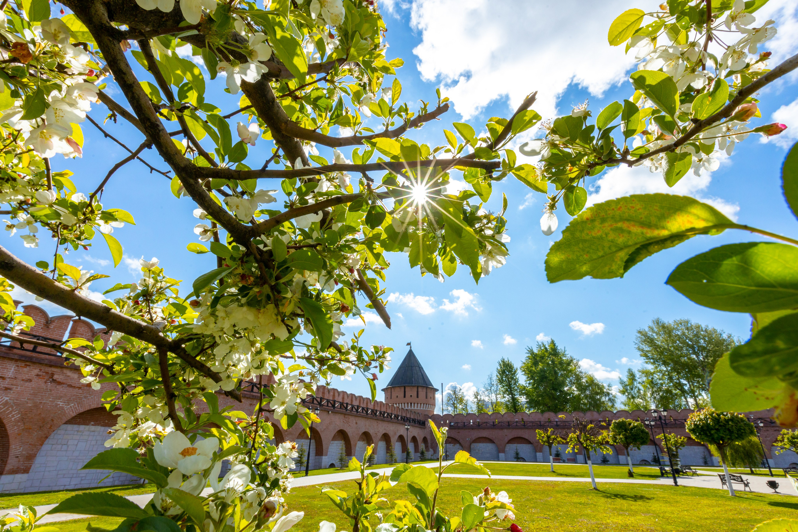 Весеннее цветение в Туле. Фотограф в Туле Крупский АнДРей. Фотостудия «КАДР71» в Туле