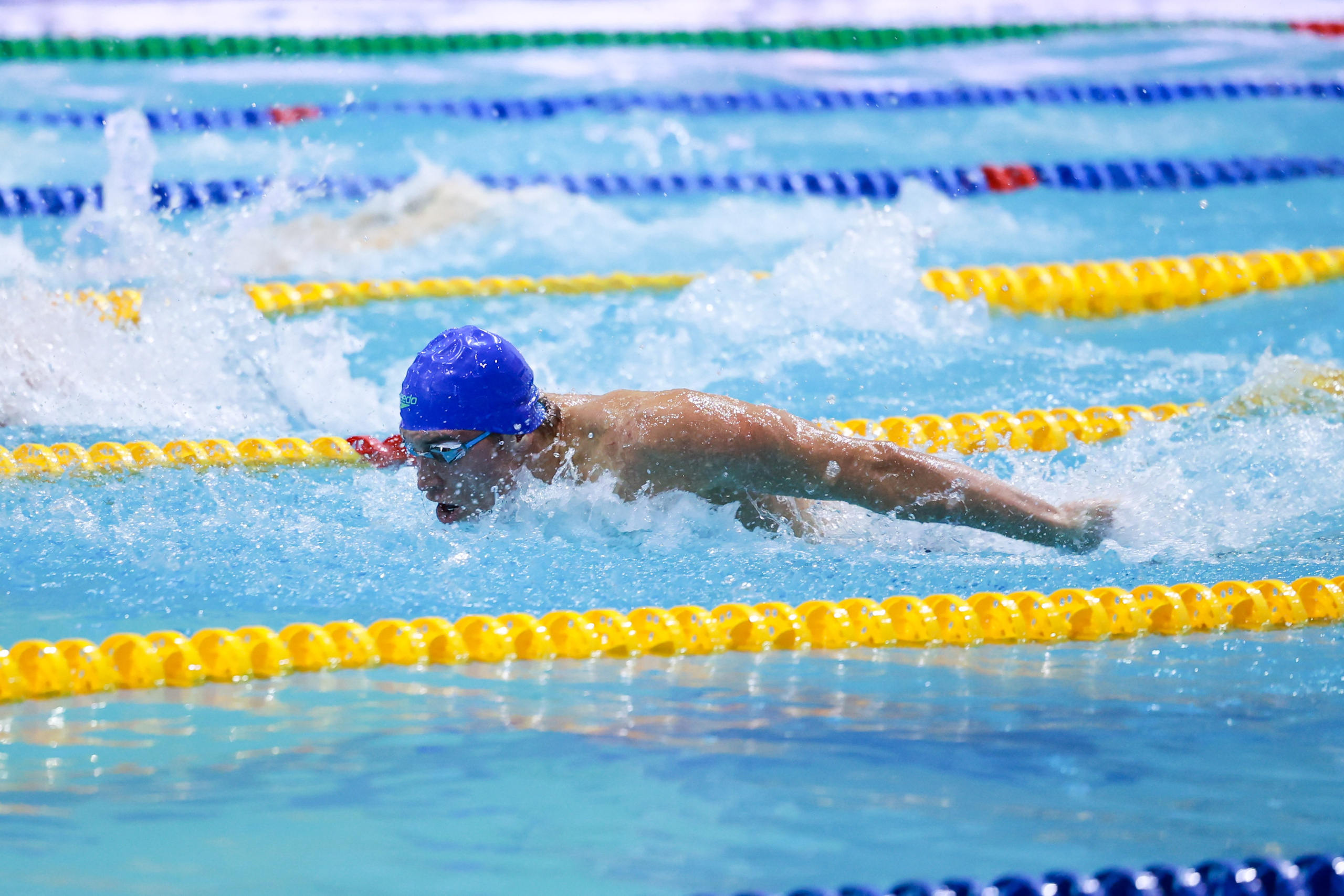 Чемпионат России по плаванию 25 м 21-26.11.2024. Спортивный и репортажный фотограф Антон Тереханов