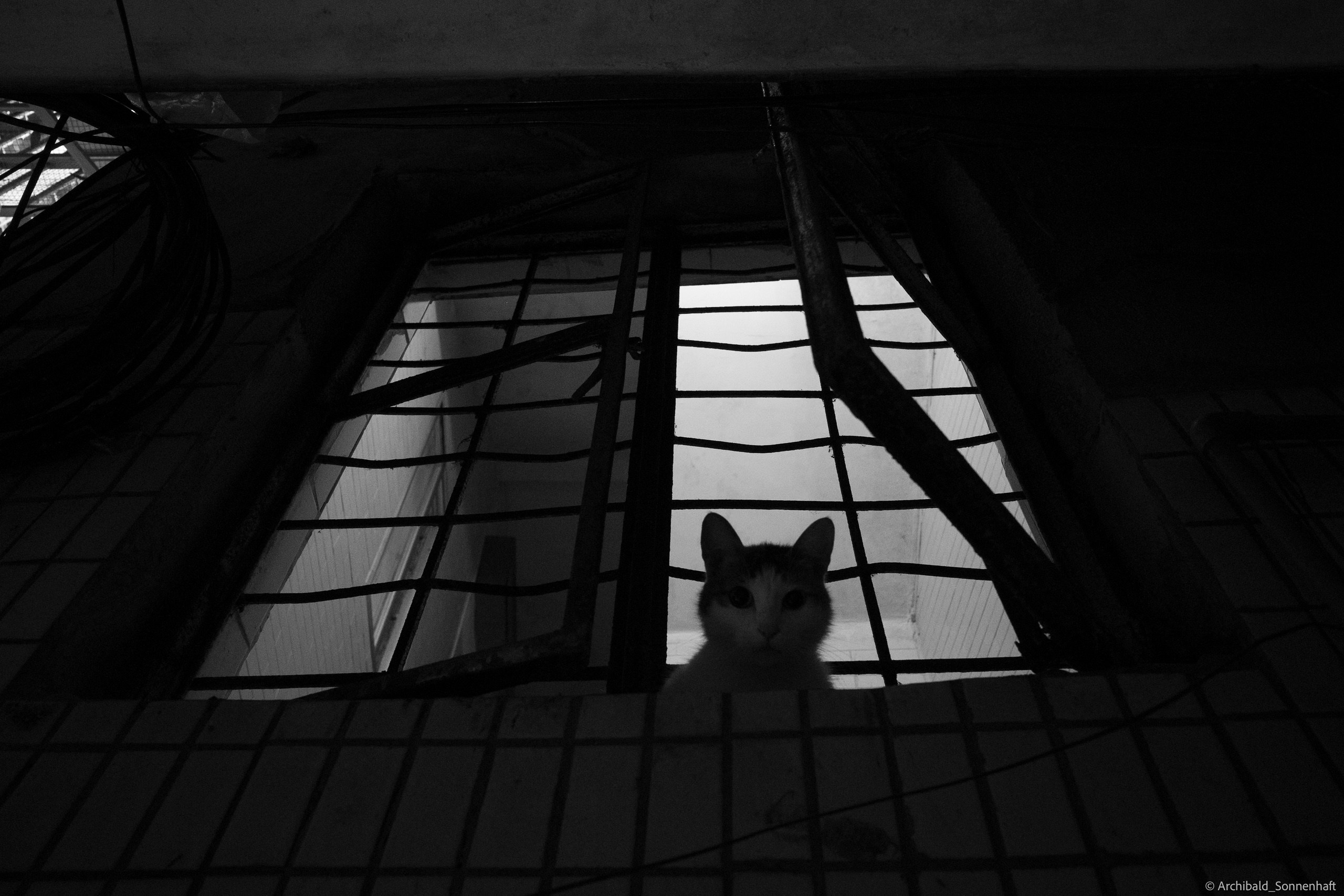 Shipai Urban Village. Photographer in Guangzhou, China. Archibald Sonnenhaft