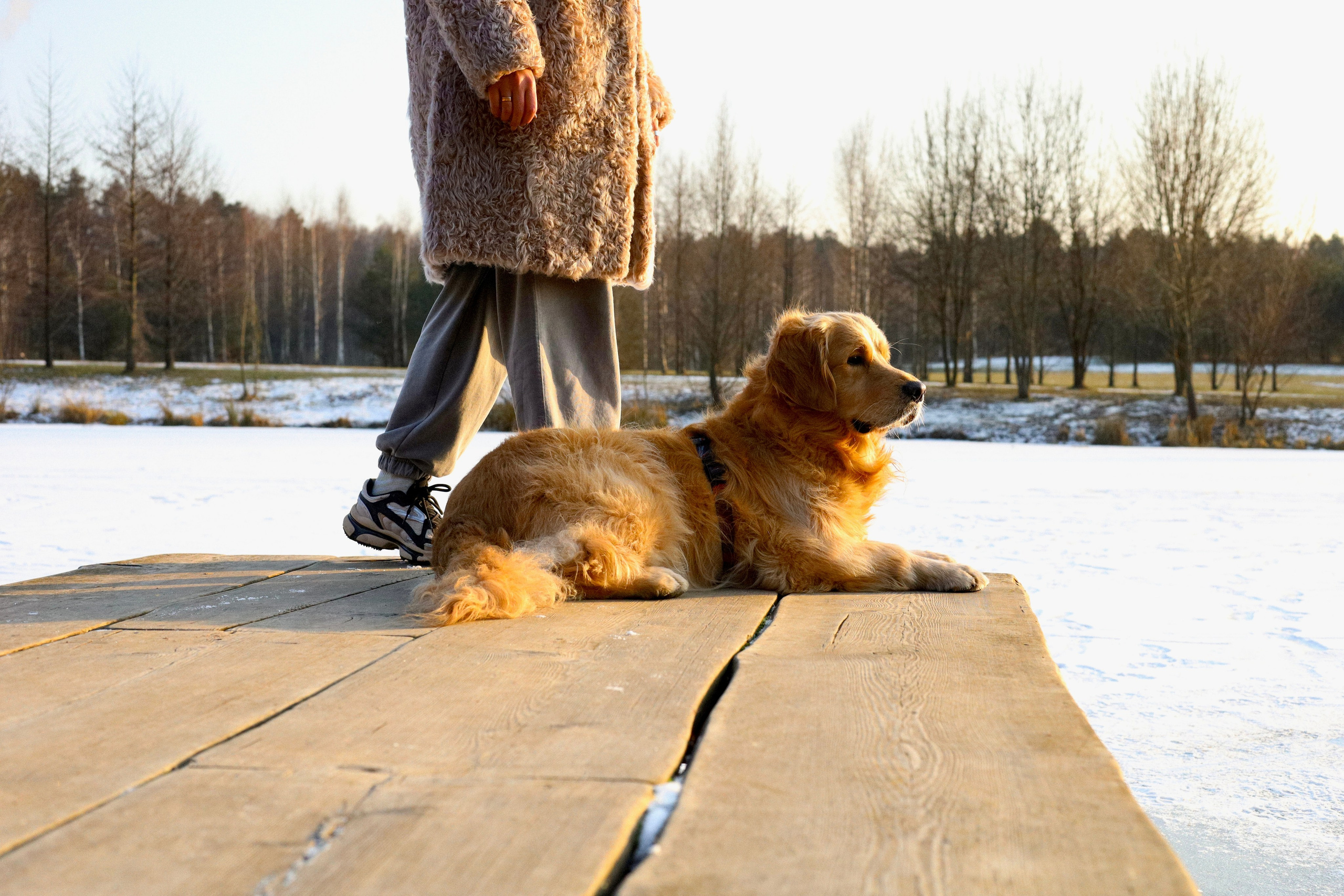 Лёва и Катя. Фотограф-анималист Ксения Шевцова|Москва