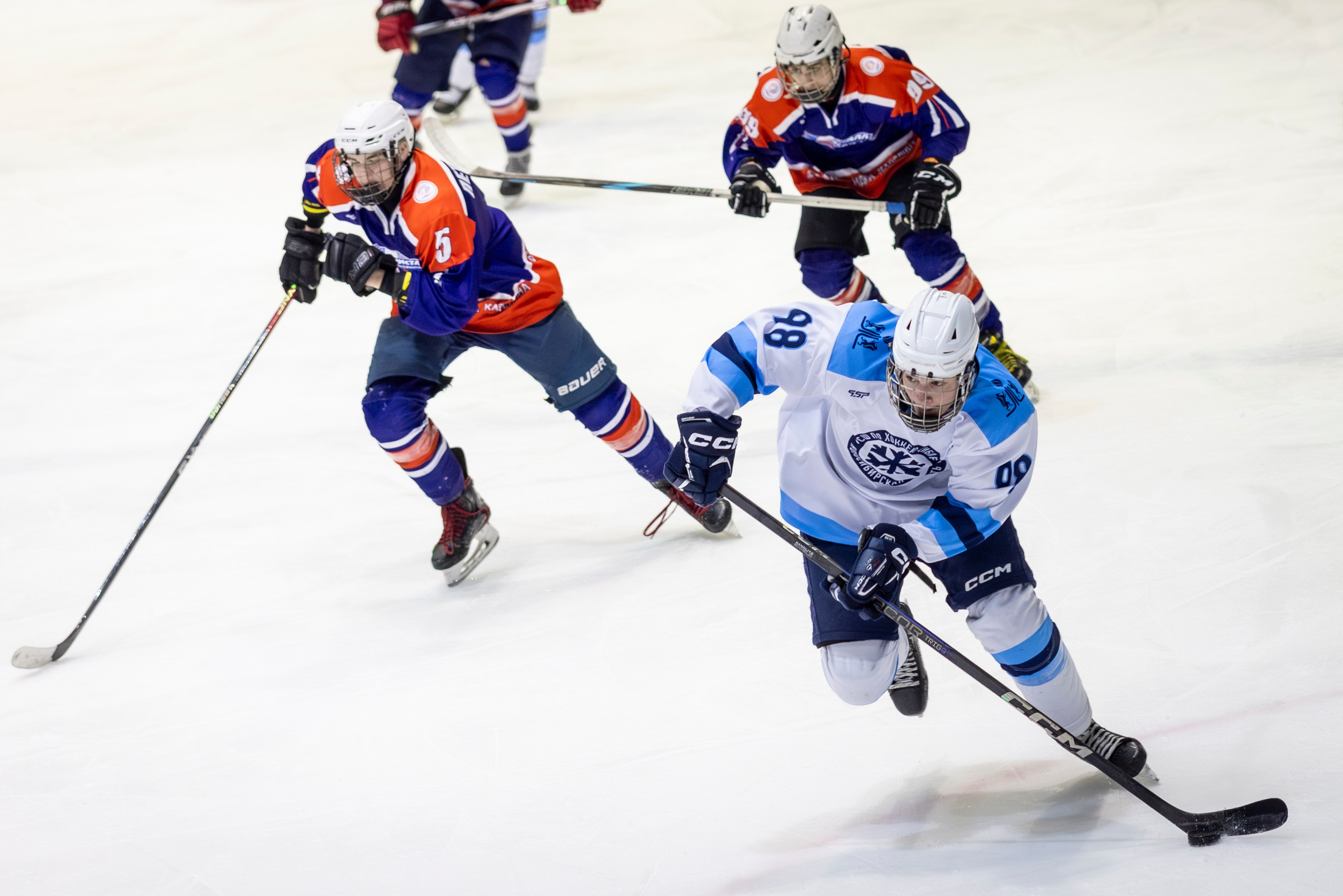 Сибирь (ЮХЛ). Bertran Ordo