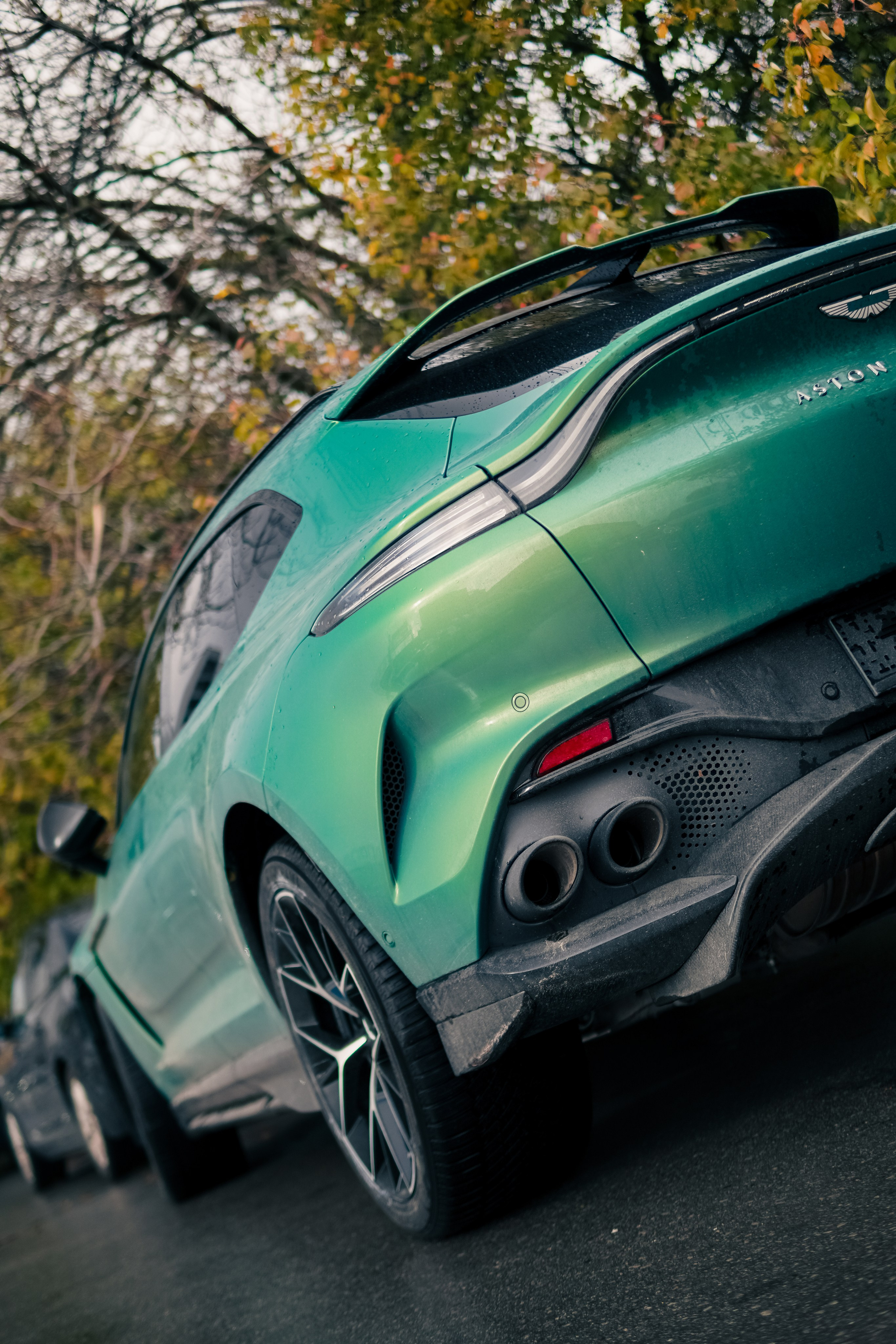 Aston Martin DBX 707. AutoAlexArt