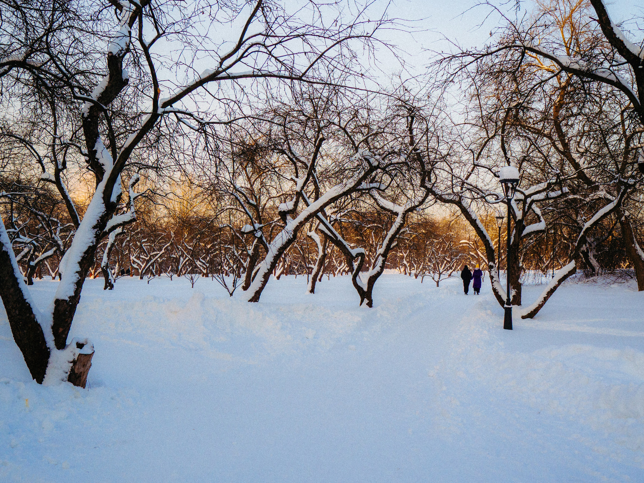 День рождения. Фёдор Малюгин. Ваш бади в визуале
