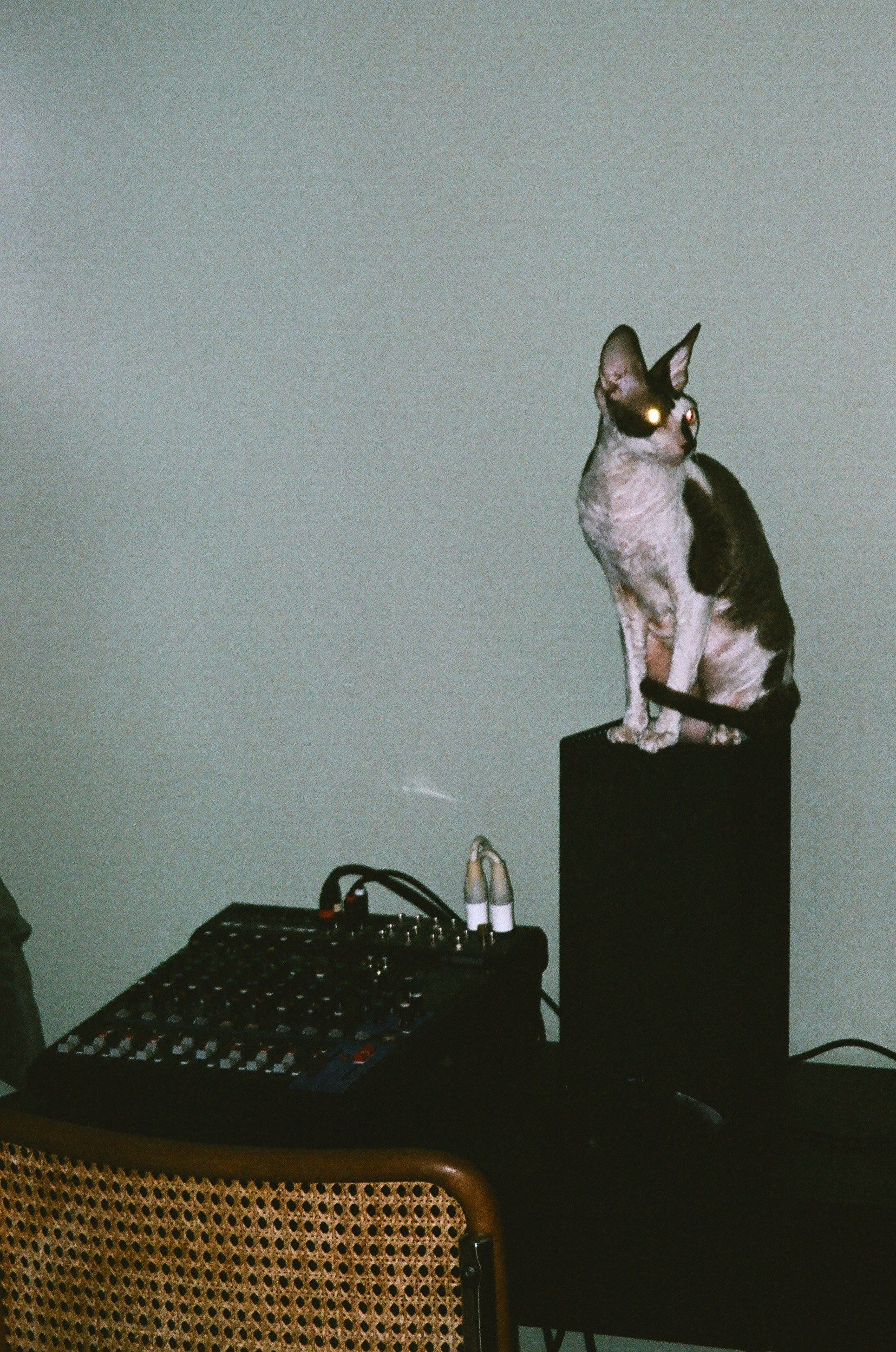 Film. Ruslan UI Dev Page