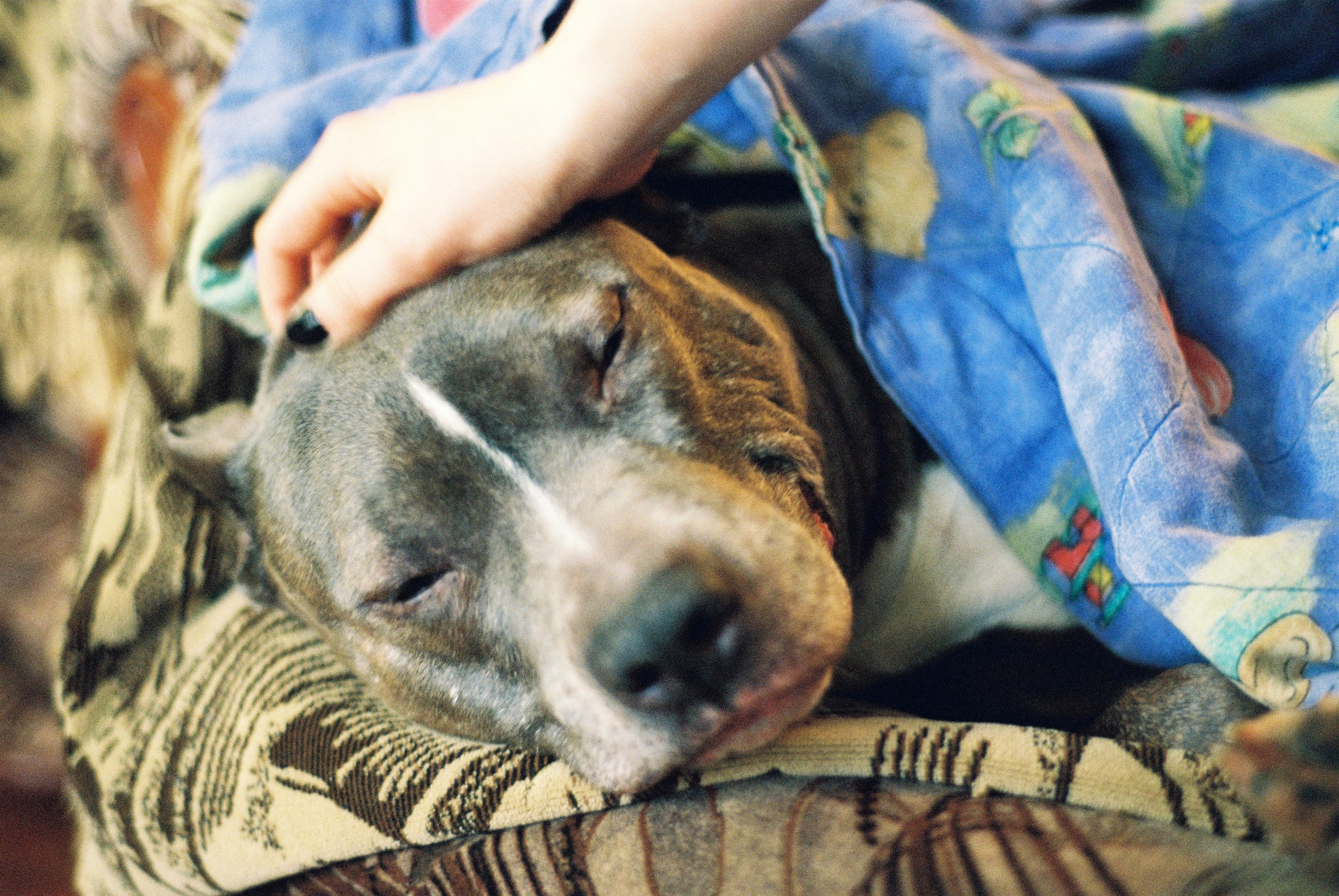 Film. Ruslan UI Dev Page