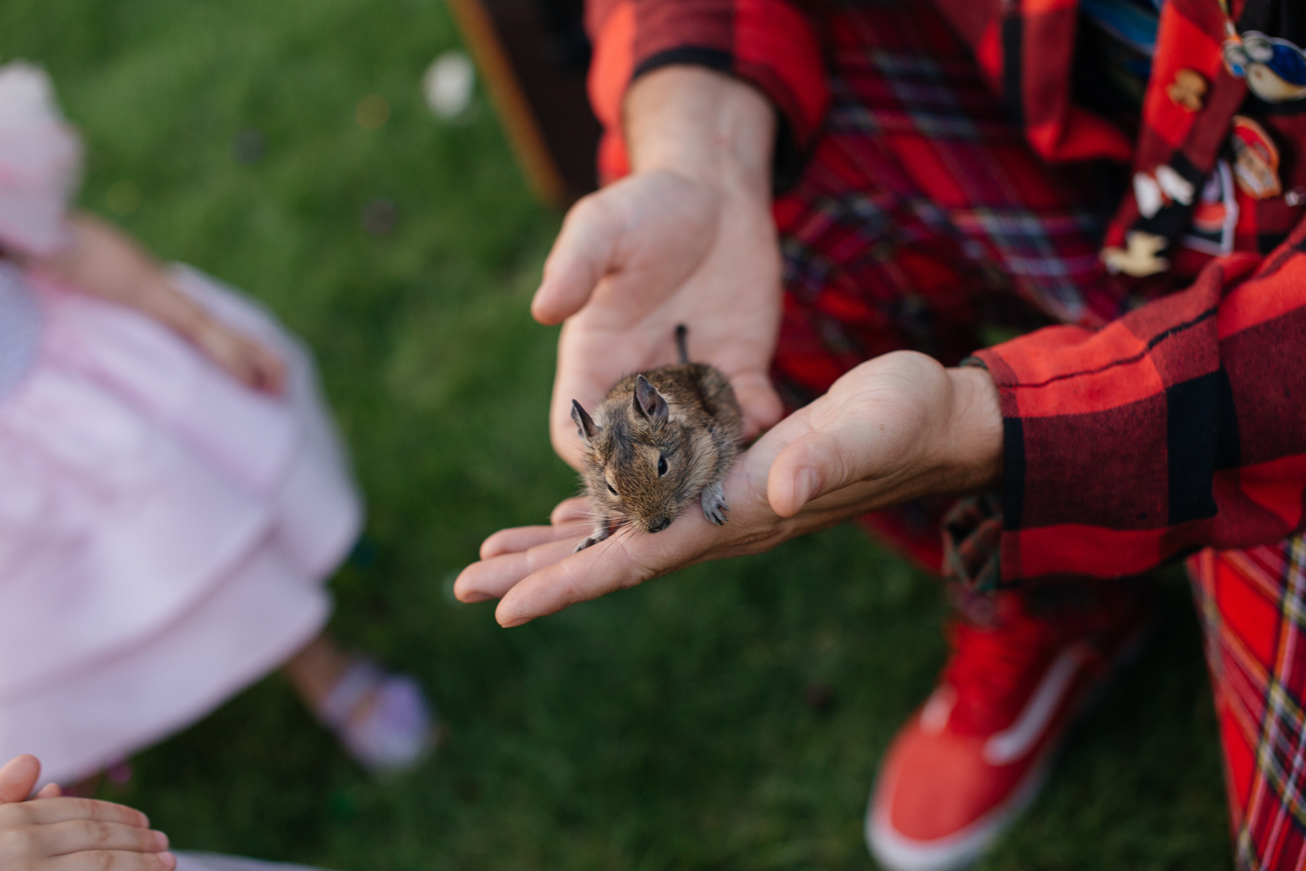 День Рождения Николь