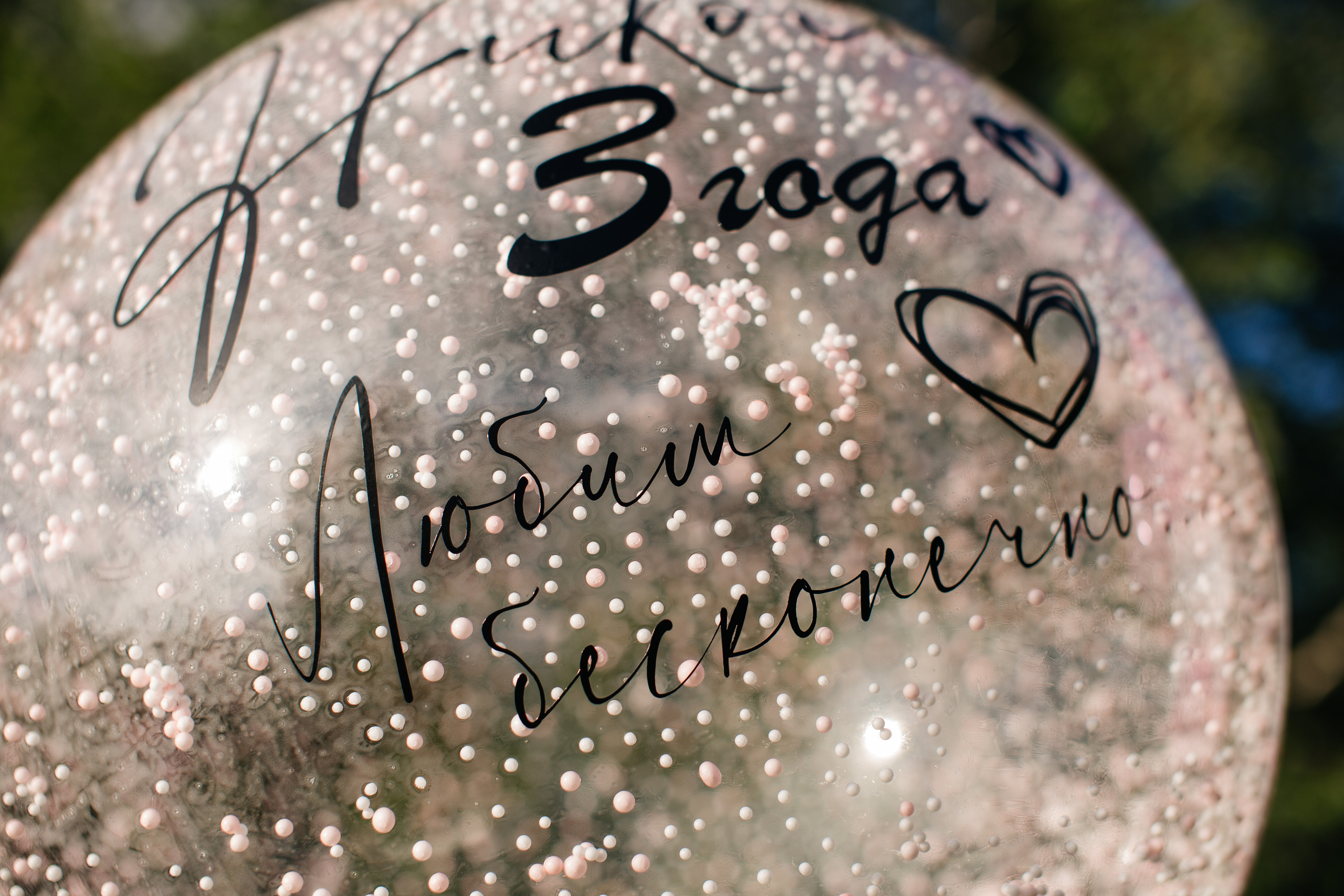 День Рождения Николь