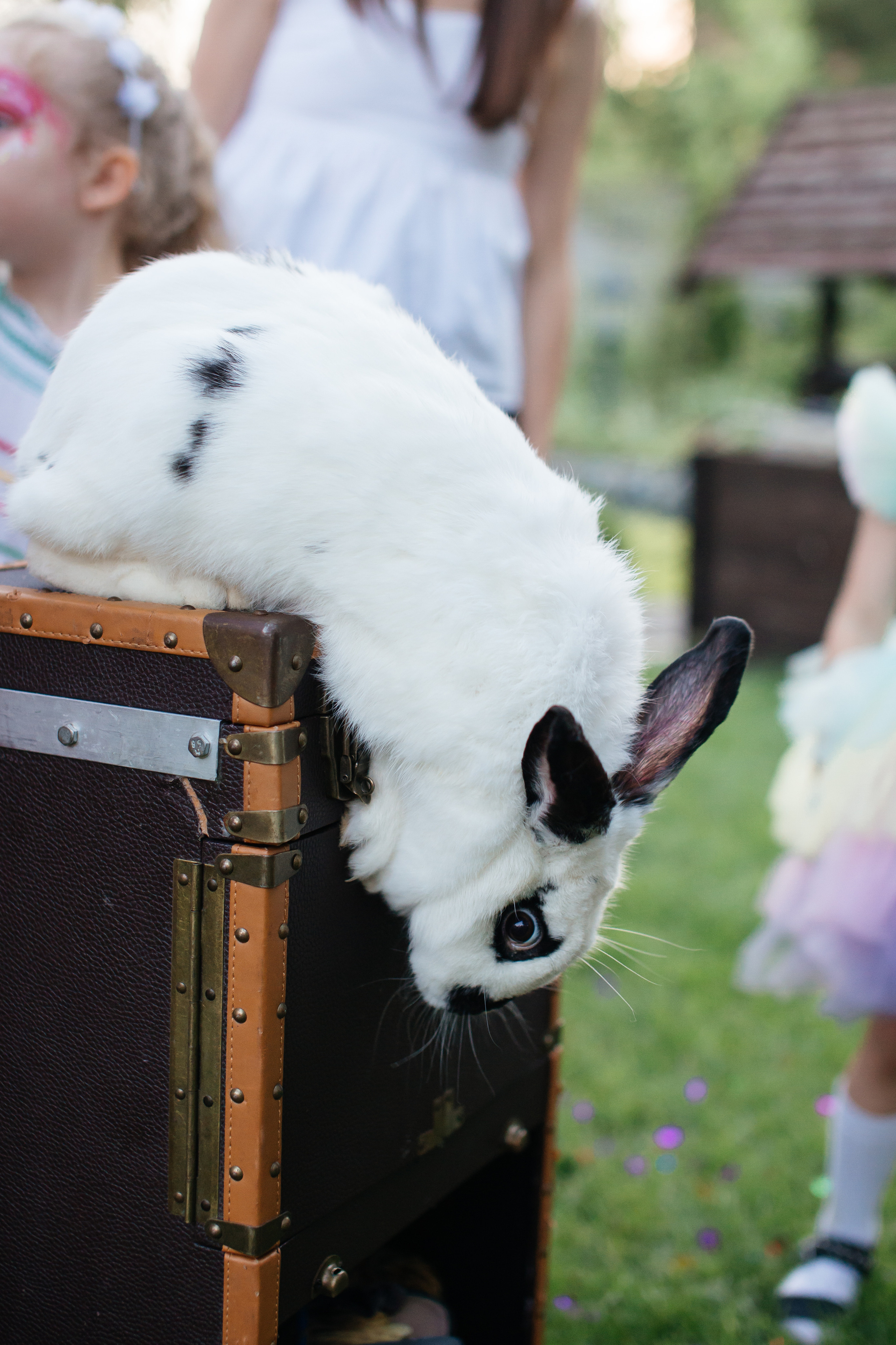 День Рождения Николь