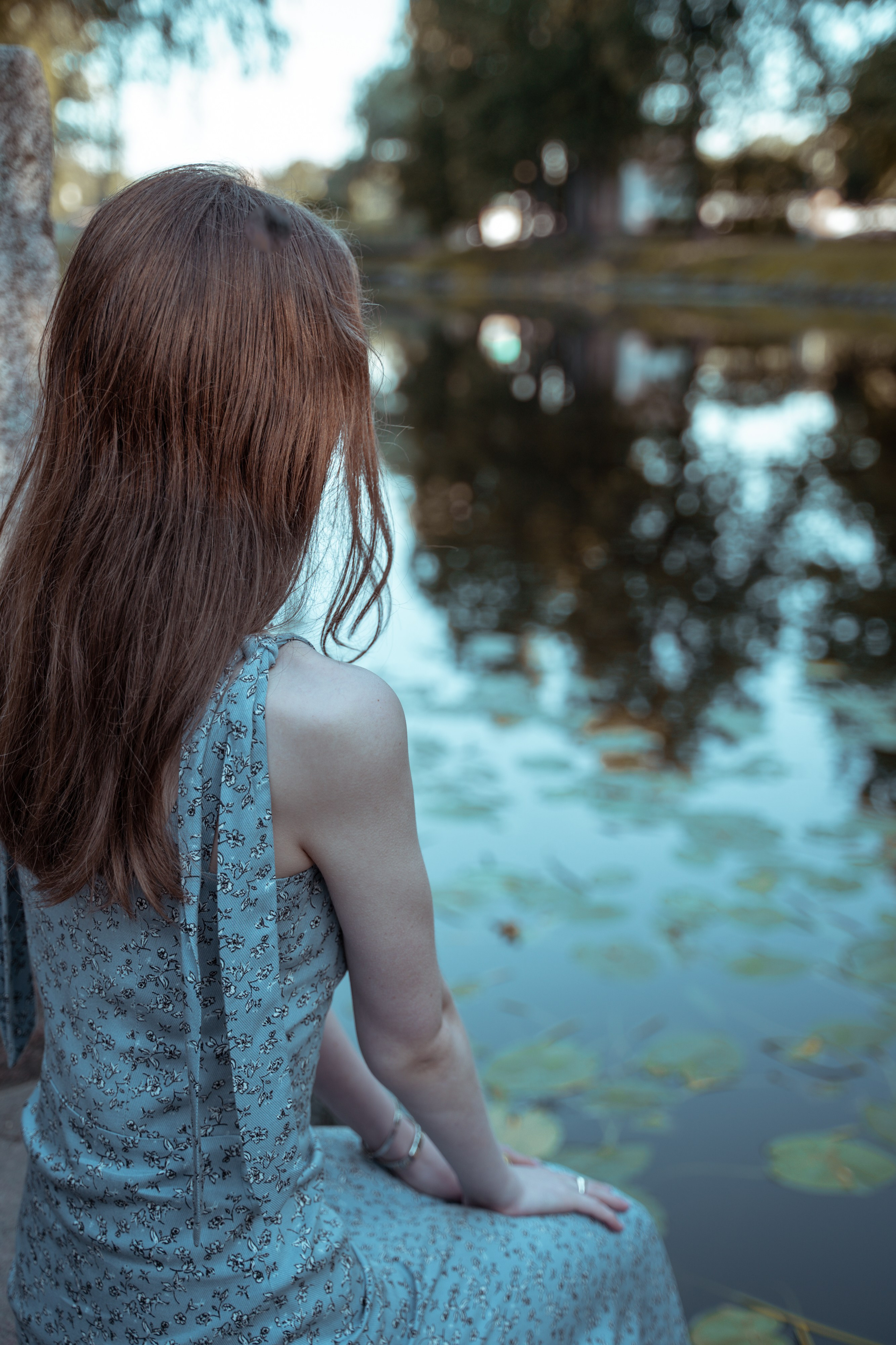 #Белые ночи. Рассвет в Лопухинском саду. Главная