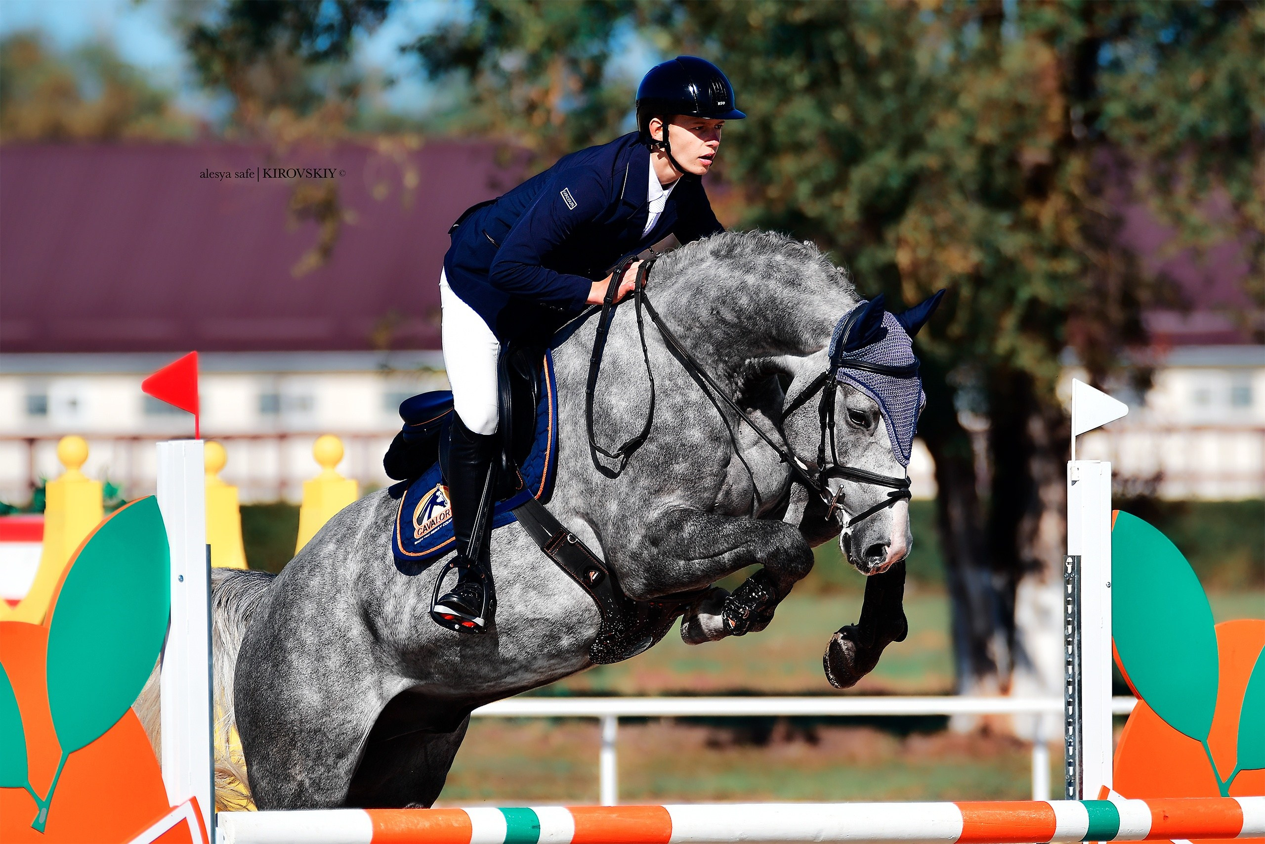 Кировский конный завод. Конный фотограф Alesya Safe