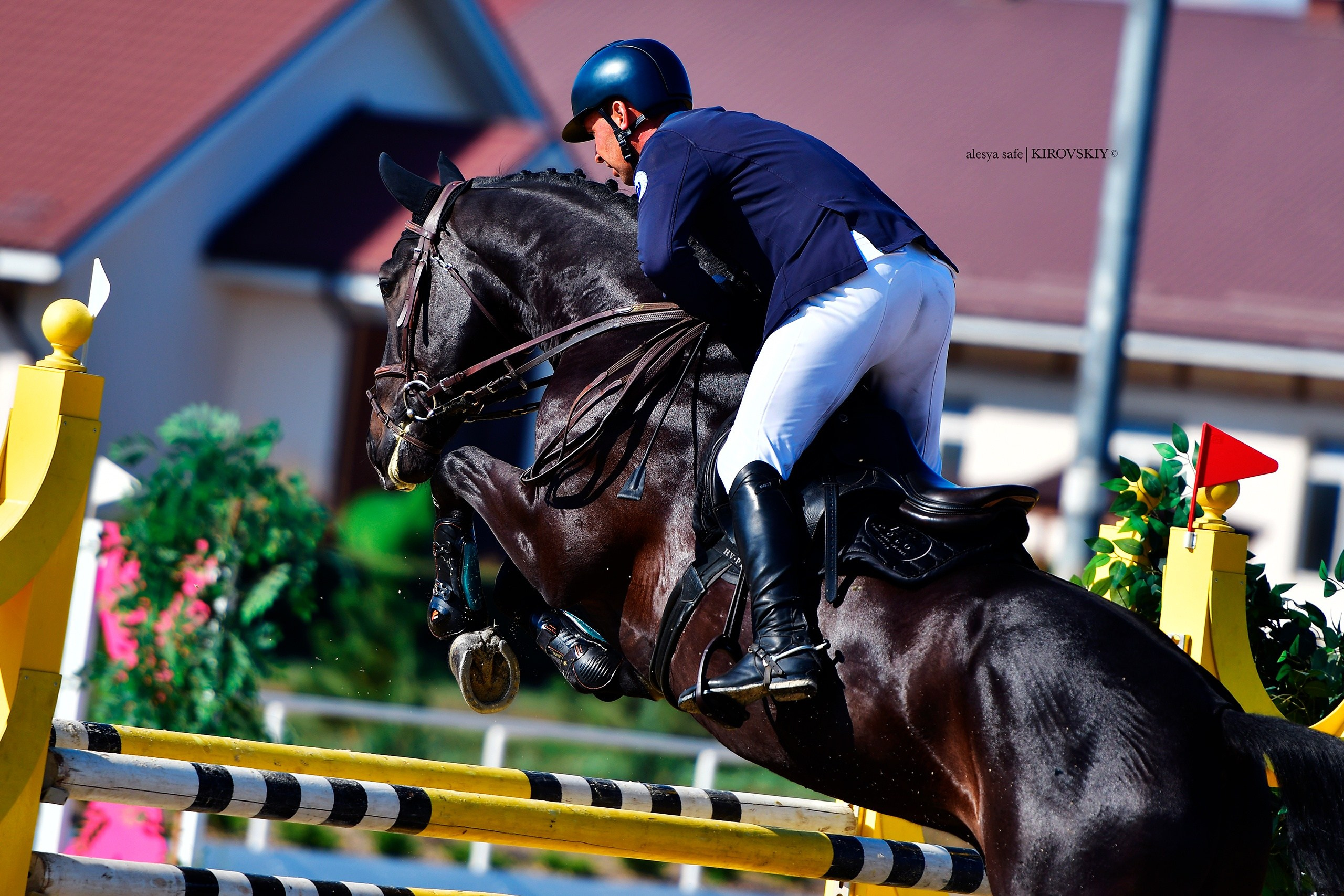 Кировский конный завод. Конный фотограф Alesya Safe