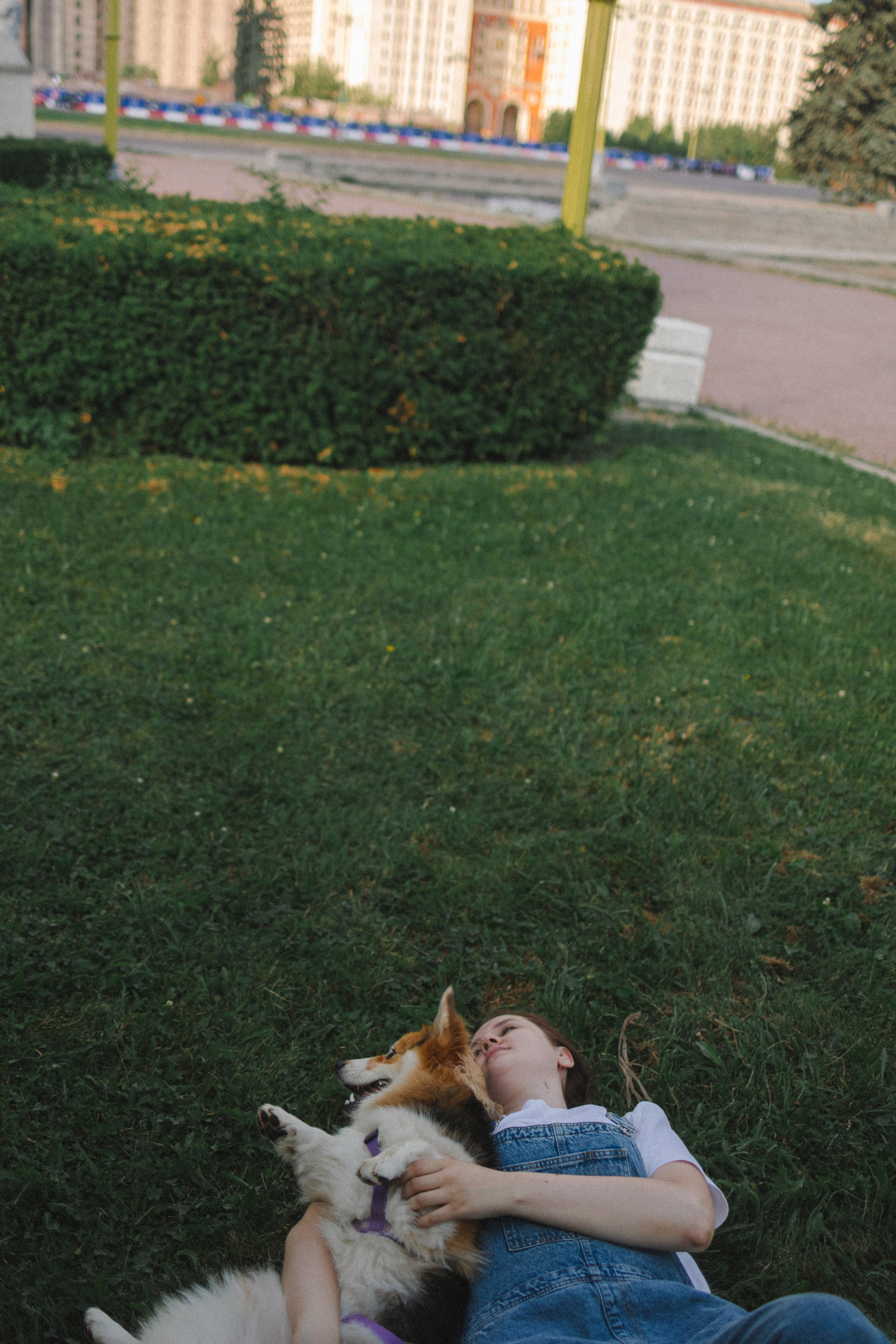 Мишель и Влада. Фотораф — анималист Мария Шистка