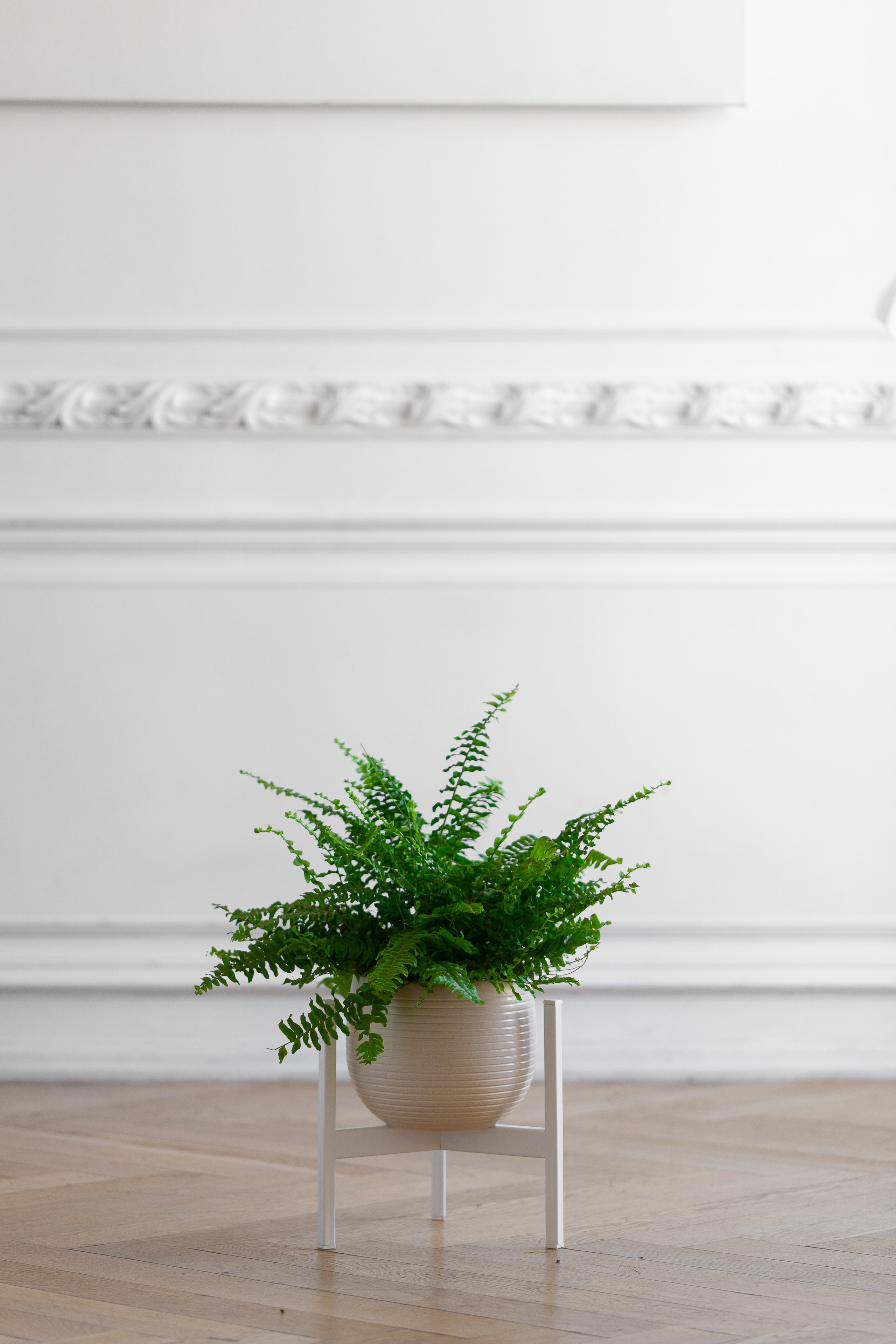 GREENWEEN. Дизайнерская мебель. Интерьерный фотограф и видеограф в Санкт-Петербурге Вадим Балбашевский