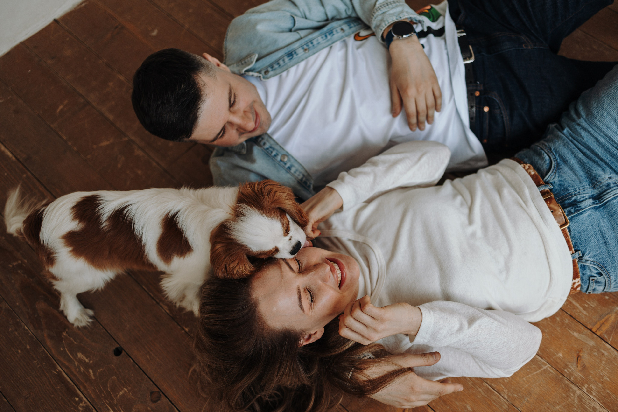 Плуто и его семья. Фотограф — Анималист | Санкт-Петербург