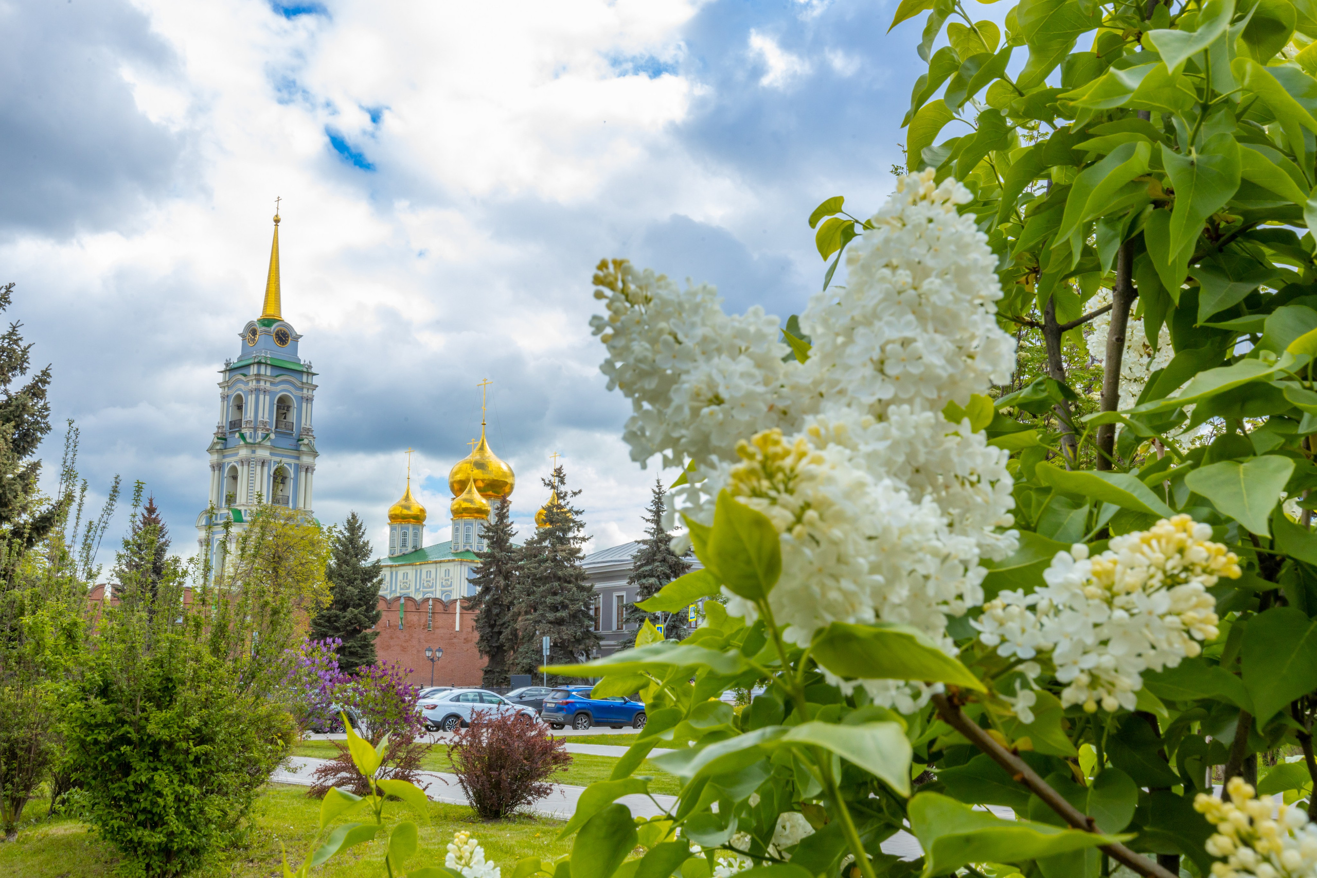Весеннее цветение в Туле. Фотограф в Туле Крупский АнДРей. Фотостудия «КАДР71» в Туле