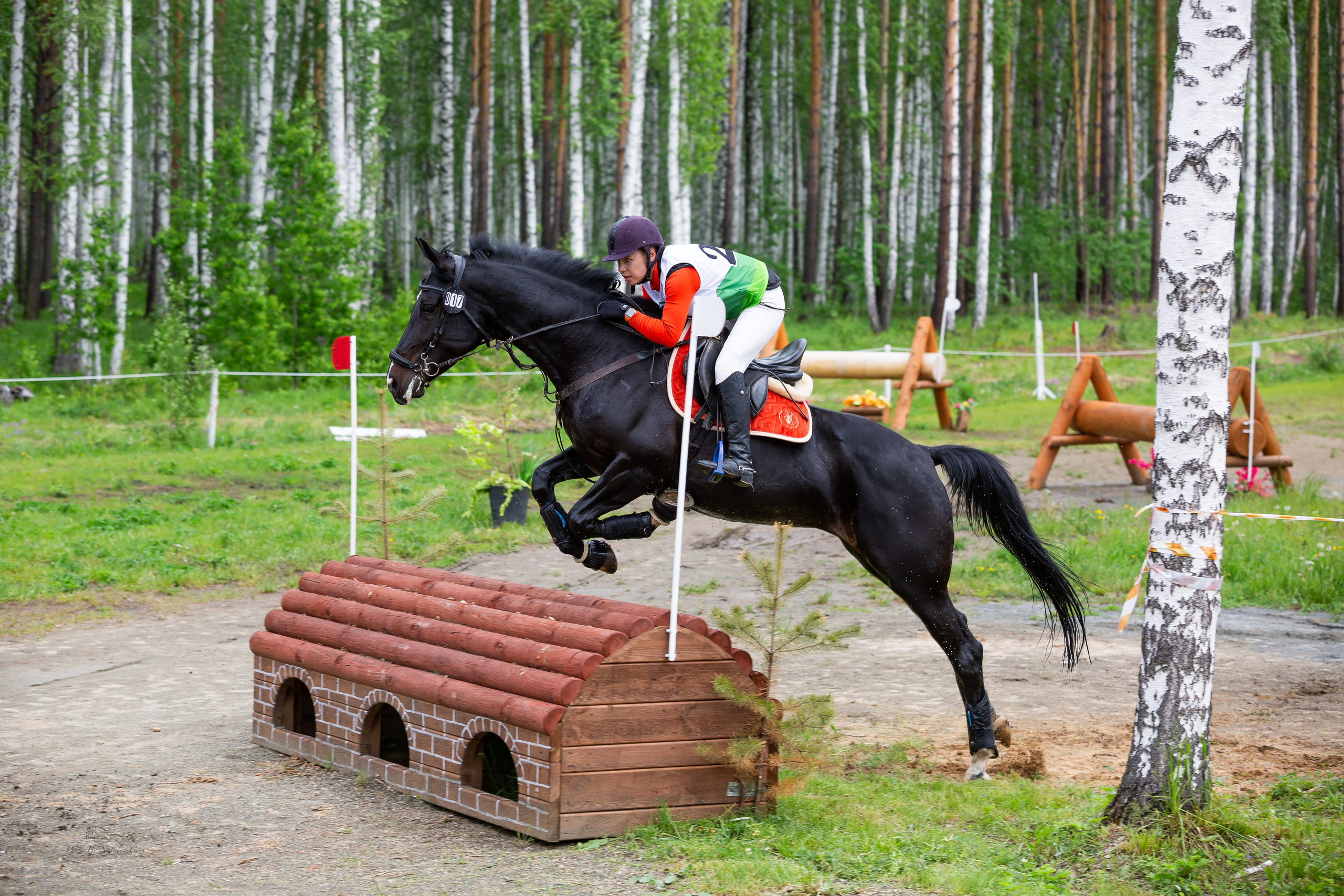 Фоторепортаж с конных соревнований. Фотограф Анималист Наталья Корс Екатеринбург