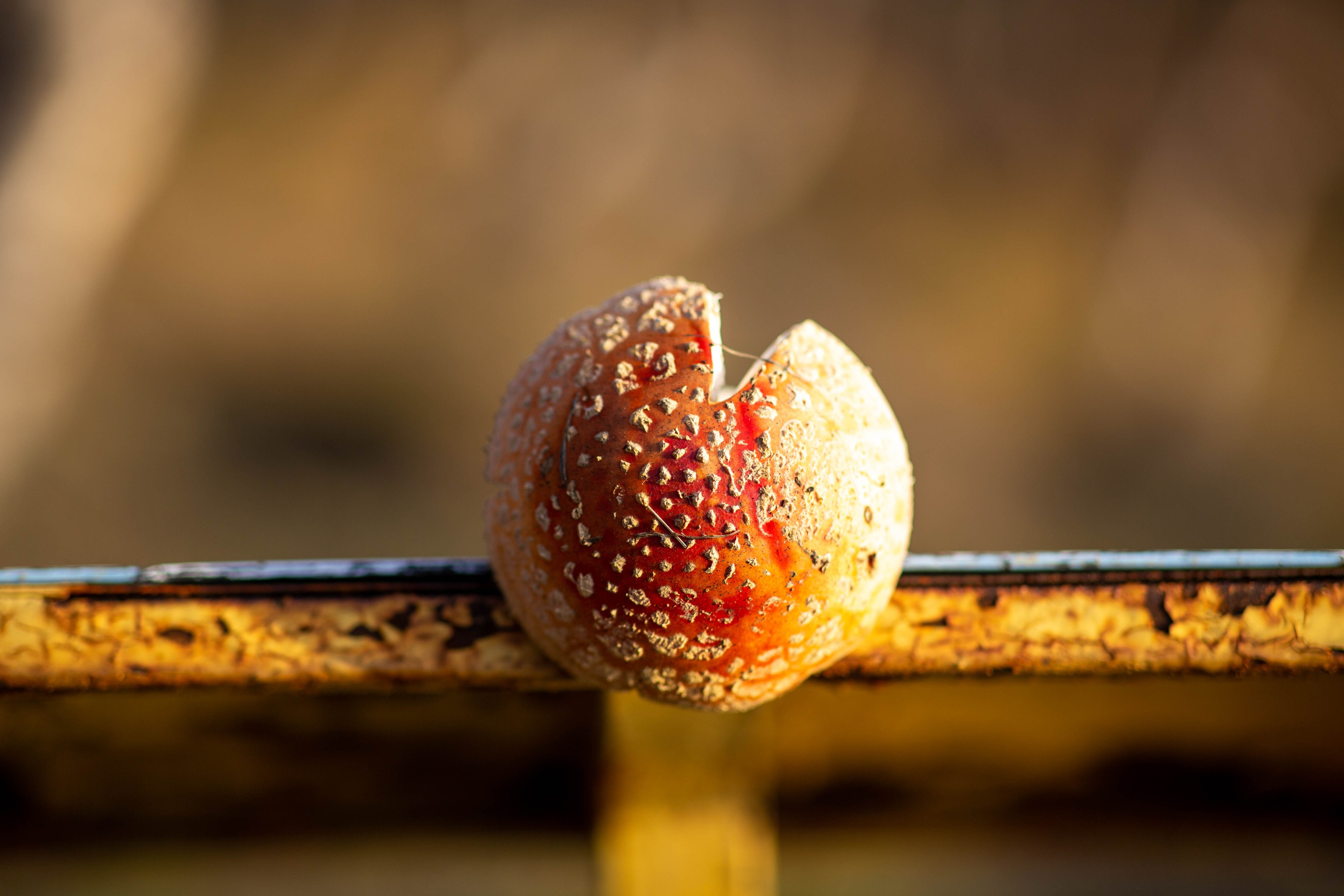 Мурманск. Репортажный и портретный фотограф Михаил Мартиросян