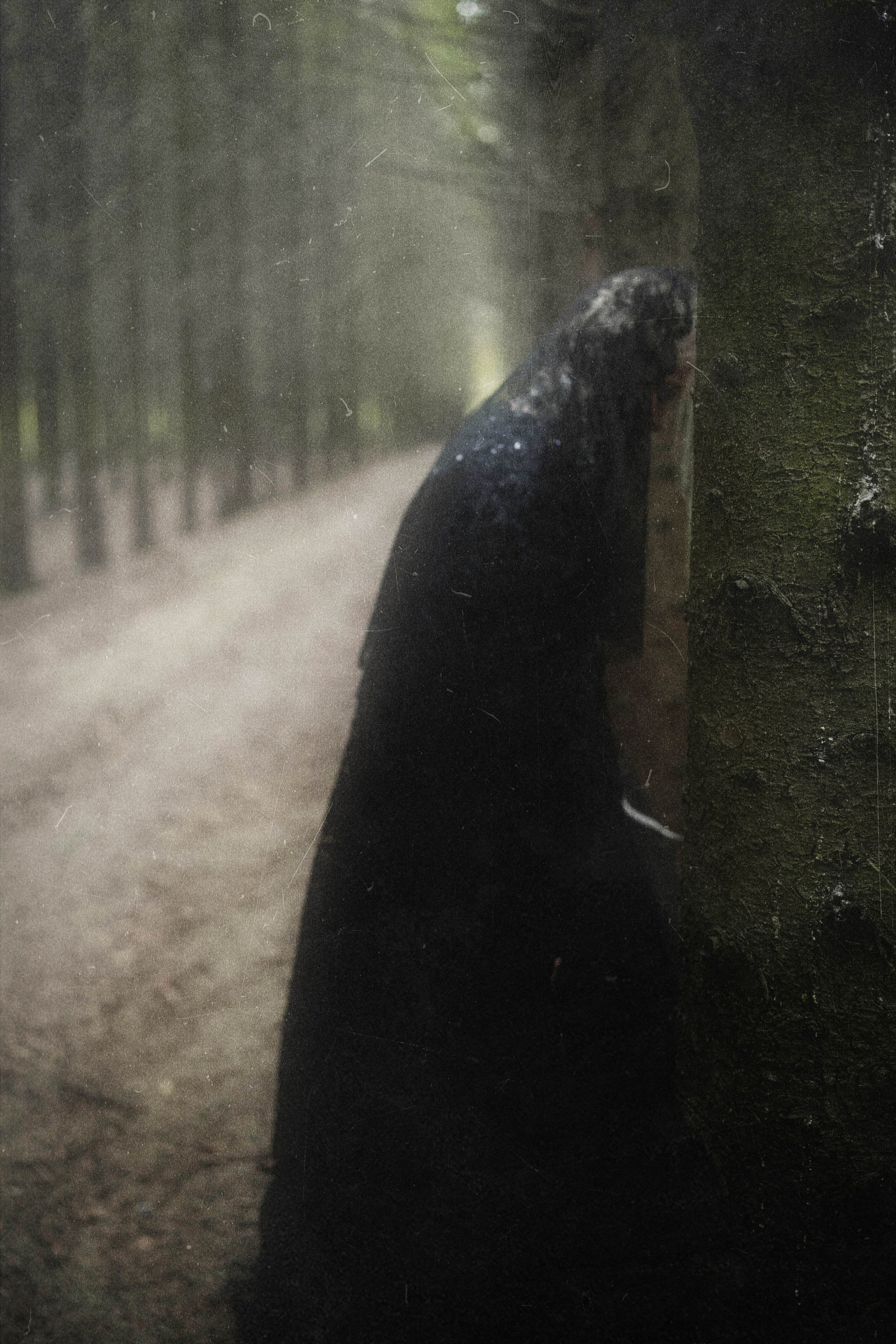 DARK FOREST. Фотограф Julia Nova