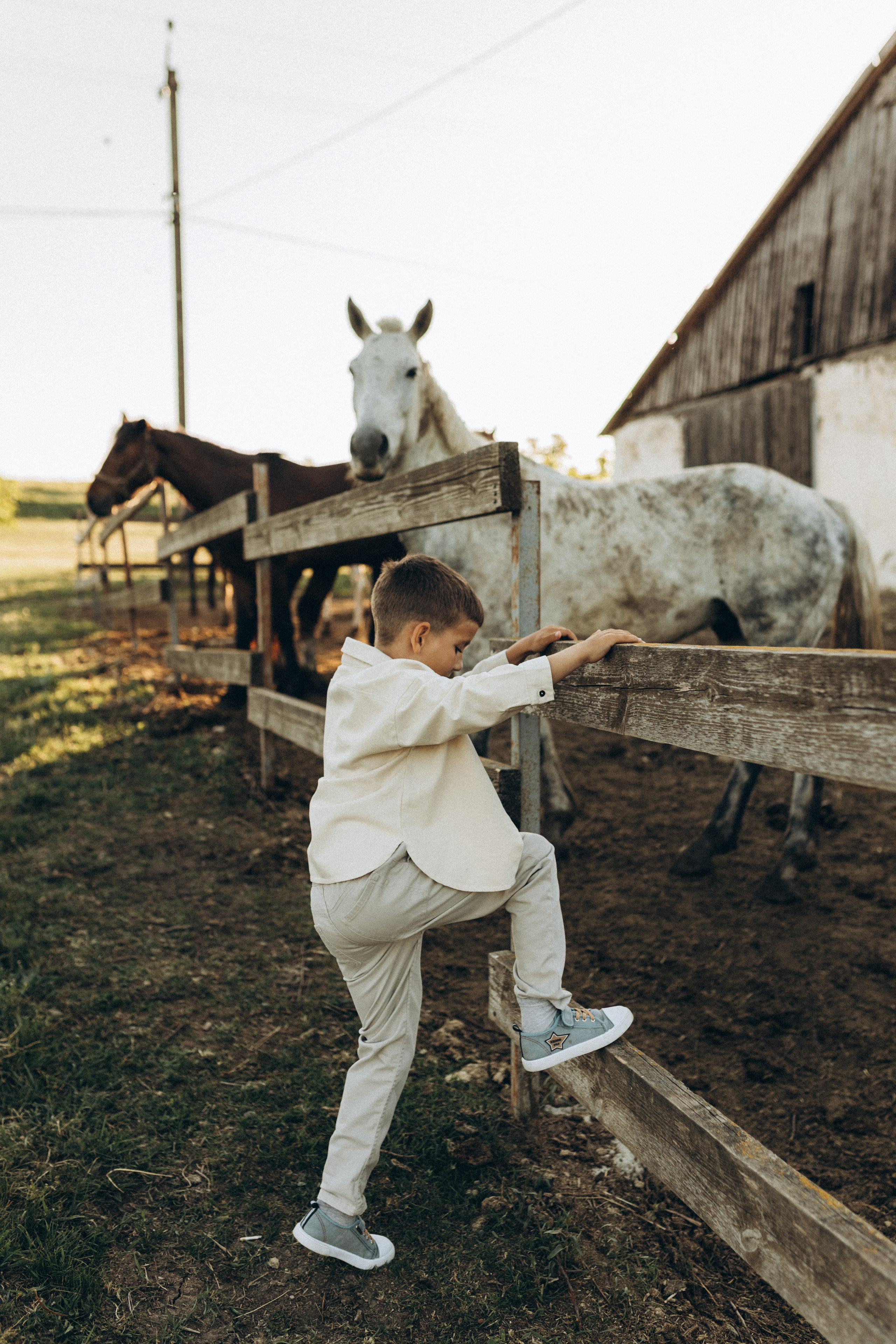Закат на ферме. Семейный фотограф в Новороссийске и Анапе Александра Яковлева