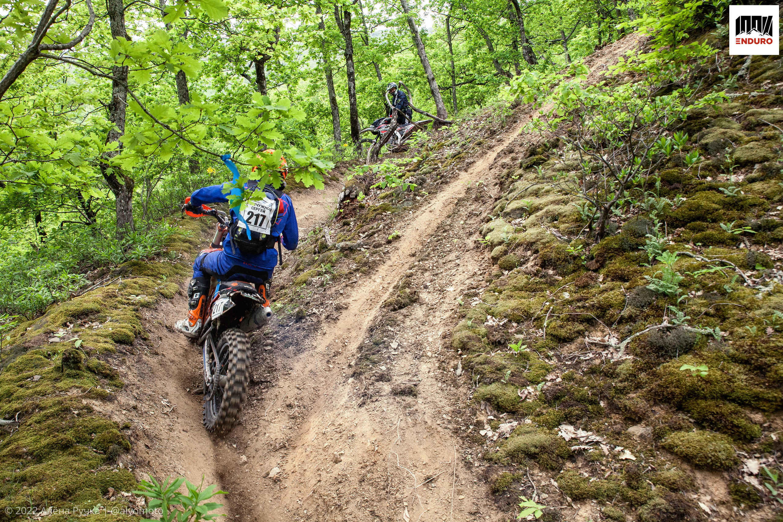 100% эндуро 2022. Ручка Алена — ботанический художник, дизайнер, фотограф