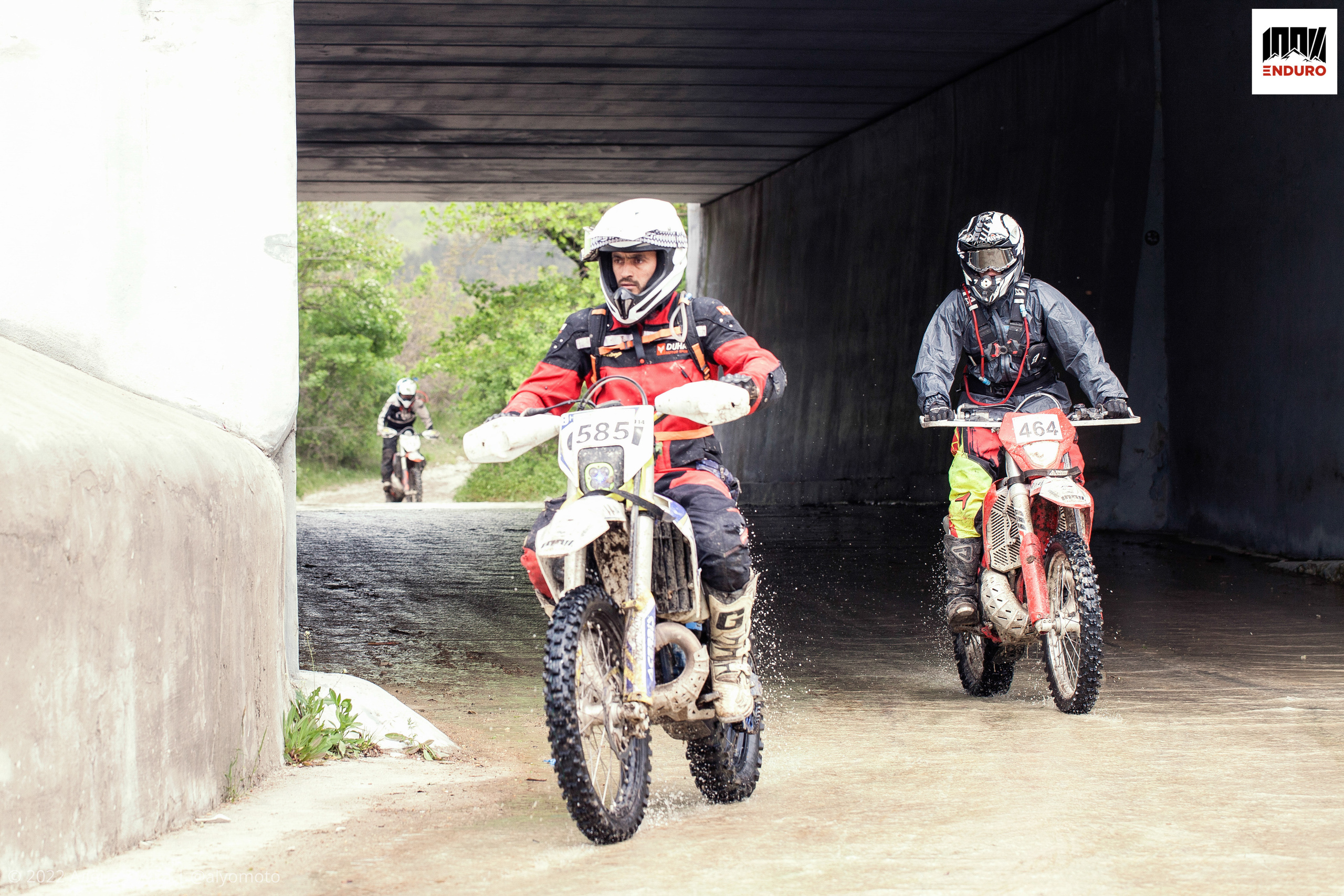 100% эндуро 2022. Ручка Алена — ботанический художник, дизайнер, фотограф