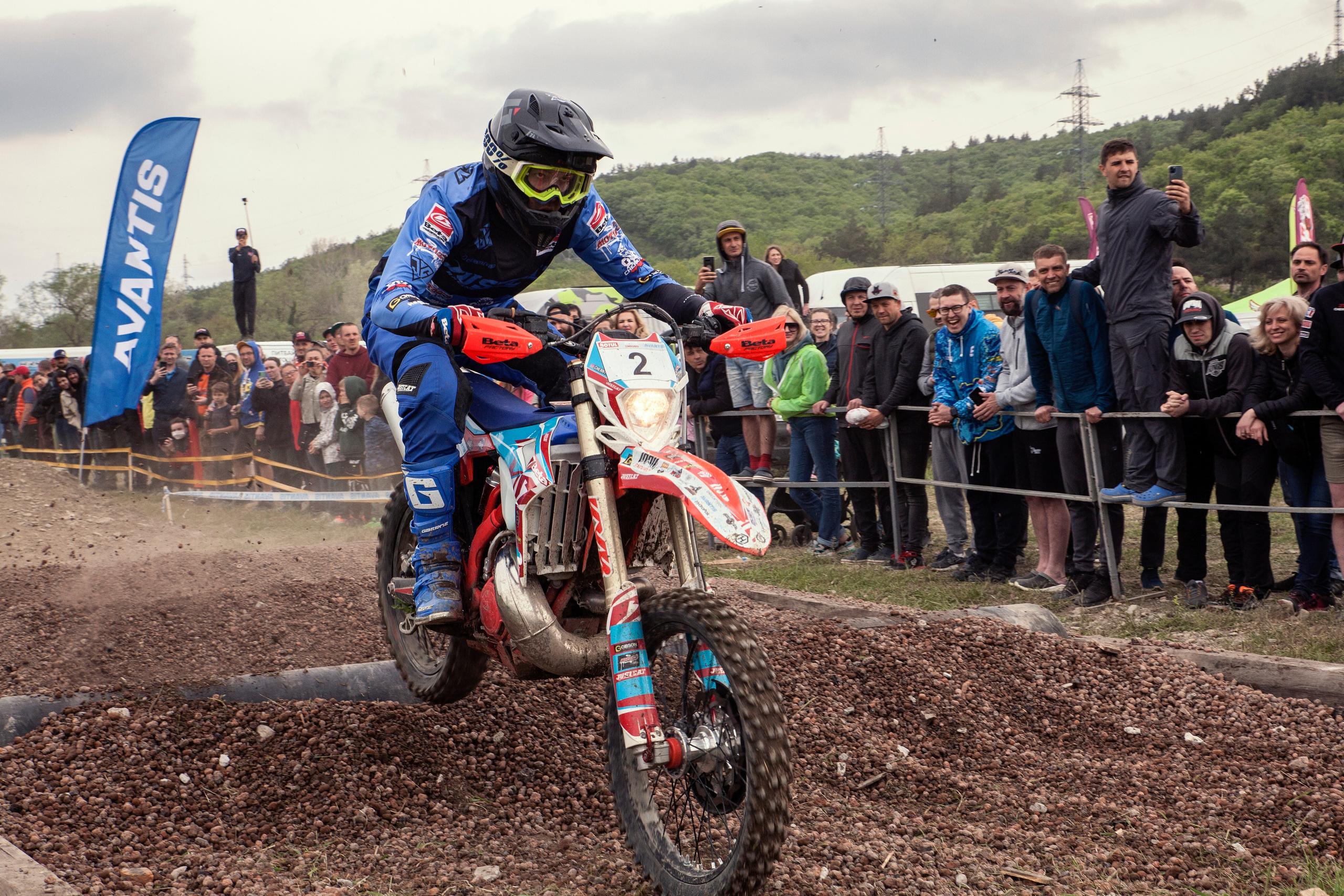 100% эндуро 2022. Ручка Алена — ботанический художник, дизайнер, фотограф