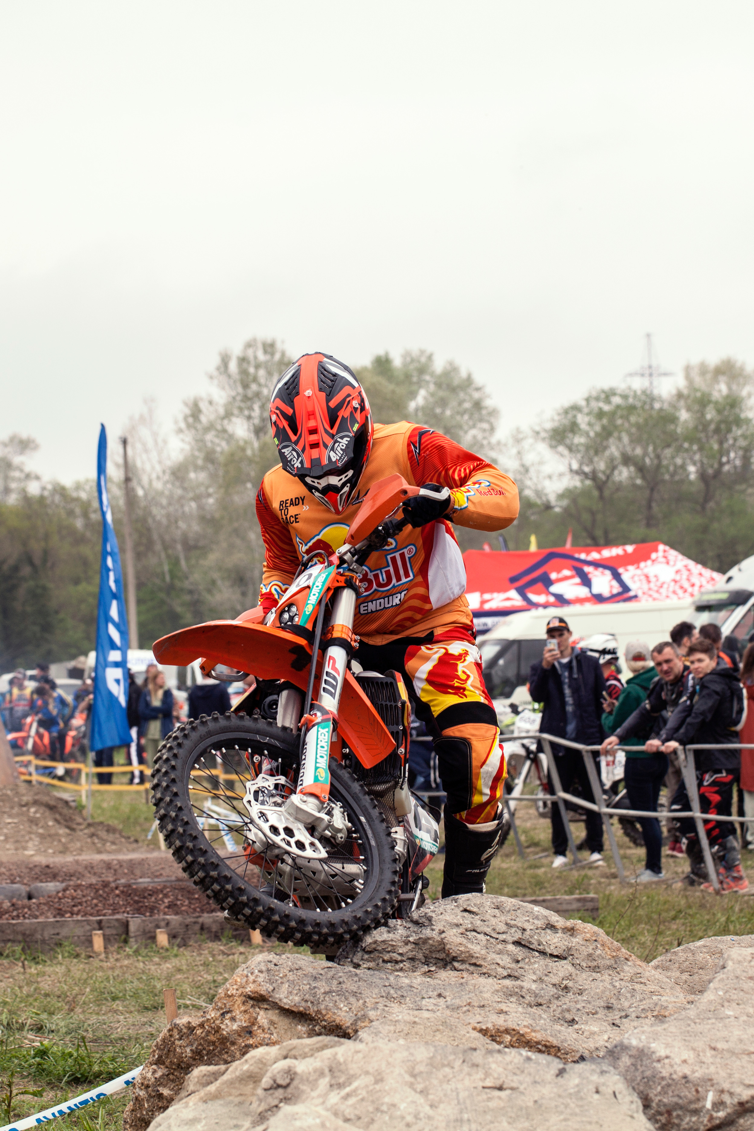 100% эндуро 2022. Ручка Алена — ботанический художник, дизайнер, фотограф