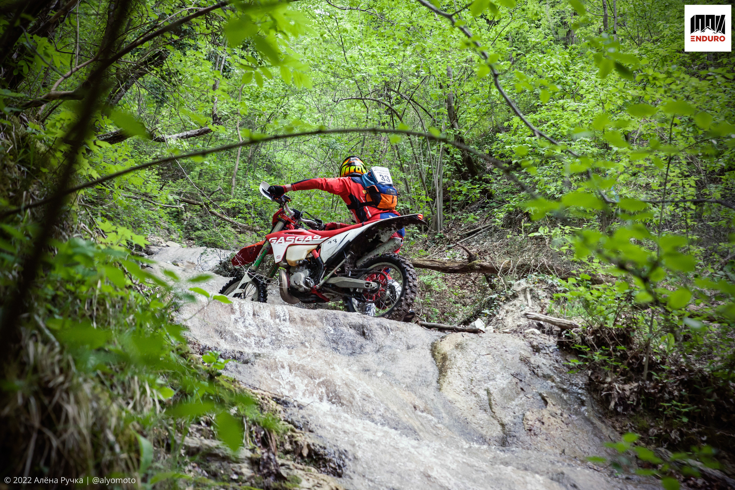 100% эндуро 2022. Ручка Алена — ботанический художник, дизайнер, фотограф