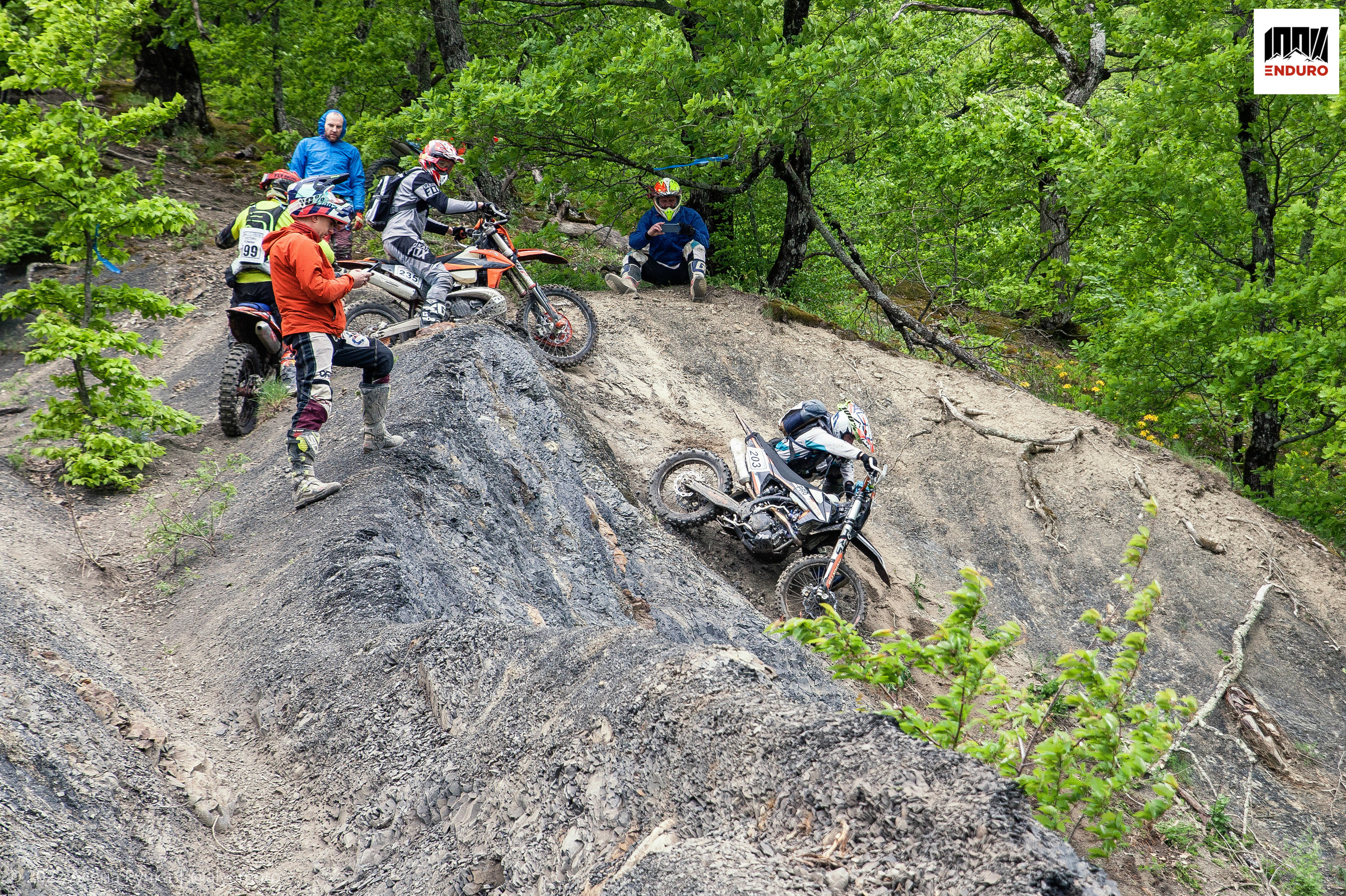 100% эндуро 2022. Ручка Алена — ботанический художник, дизайнер, фотограф