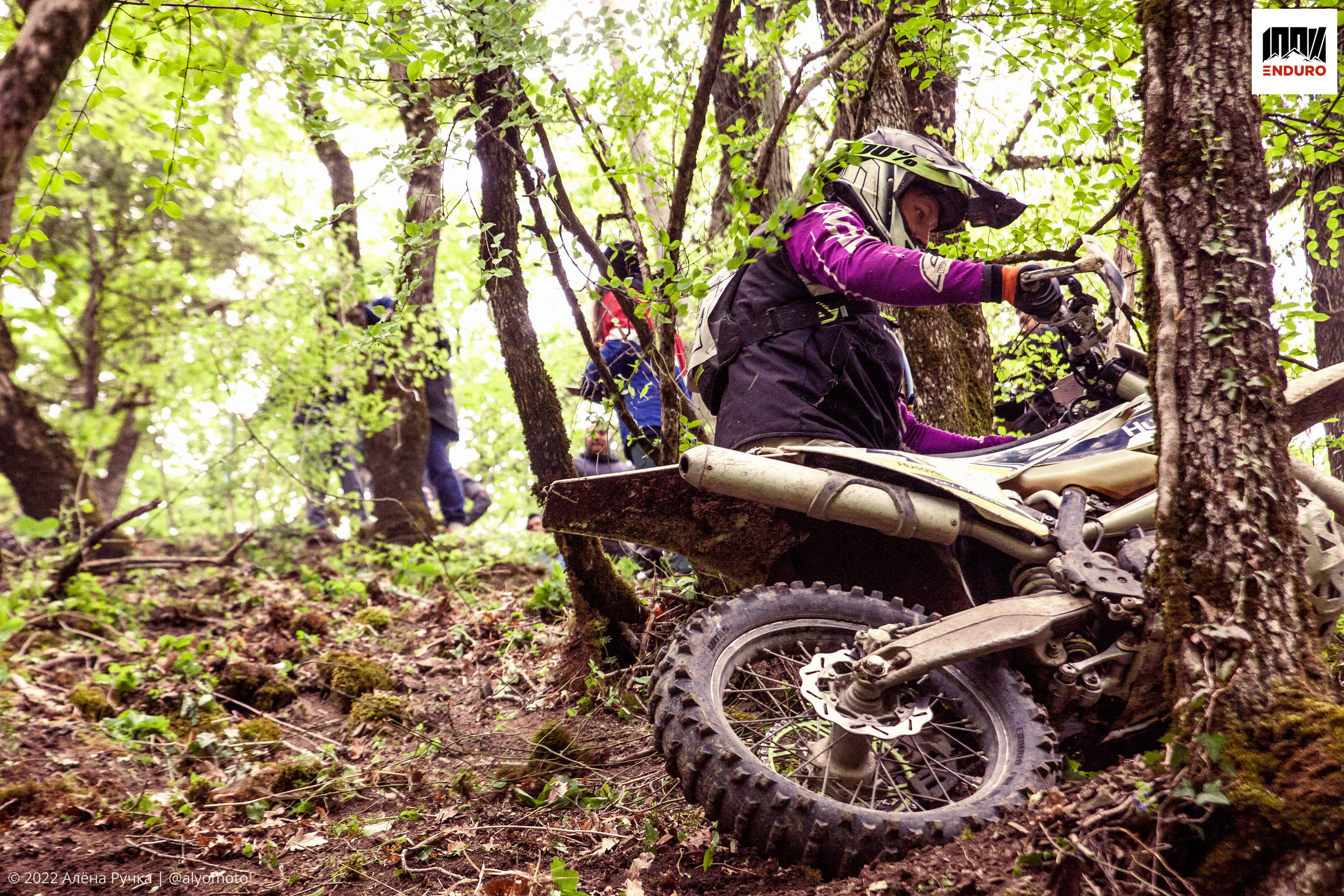 100% эндуро 2022. Ручка Алена — ботанический художник, дизайнер, фотограф