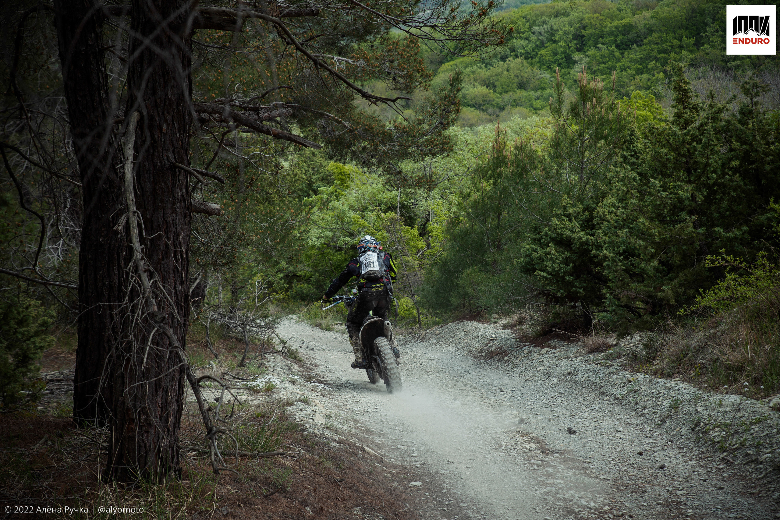 100% эндуро 2022. Ручка Алена — ботанический художник, дизайнер, фотограф