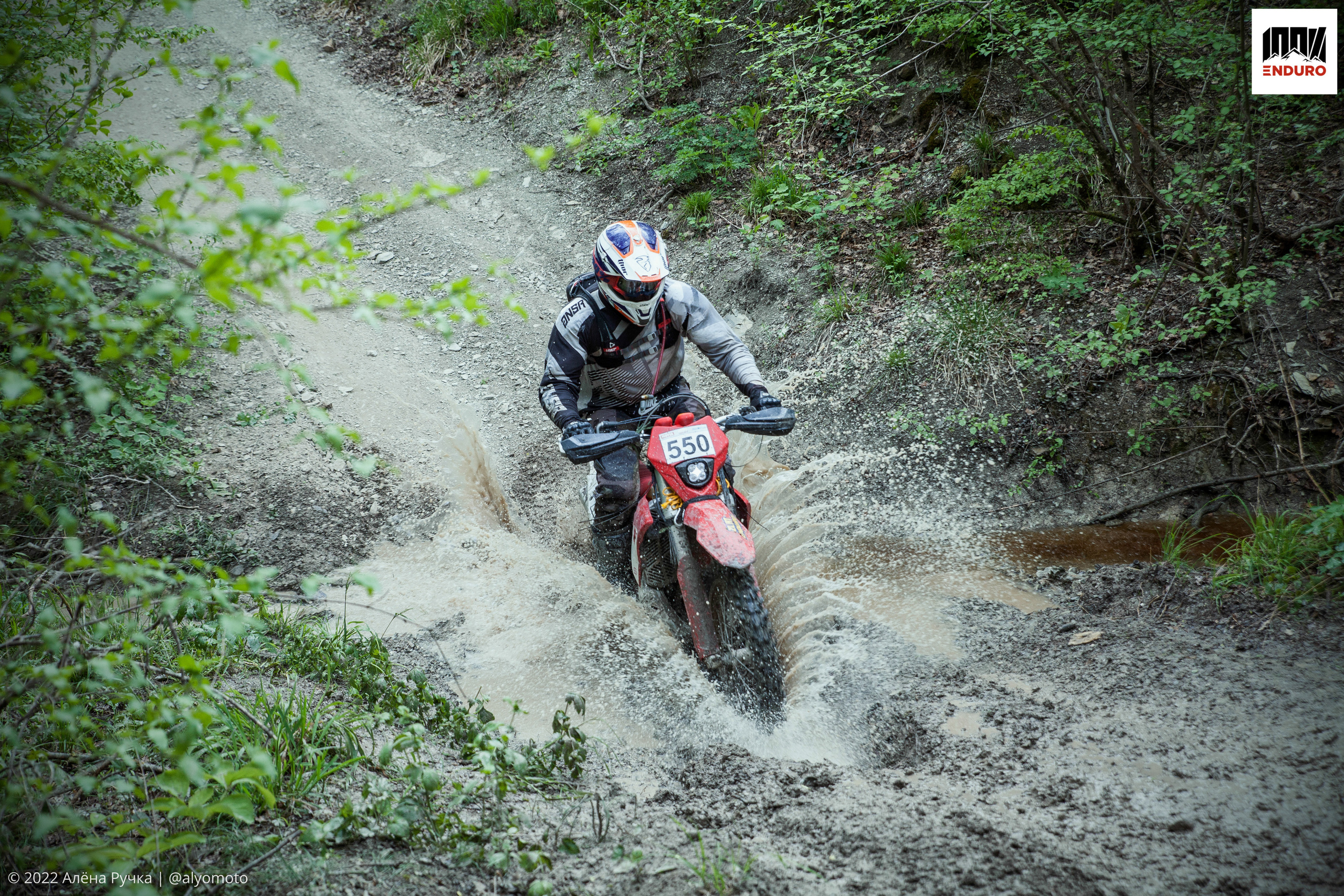100% эндуро 2022. Ручка Алена — ботанический художник, дизайнер, фотограф