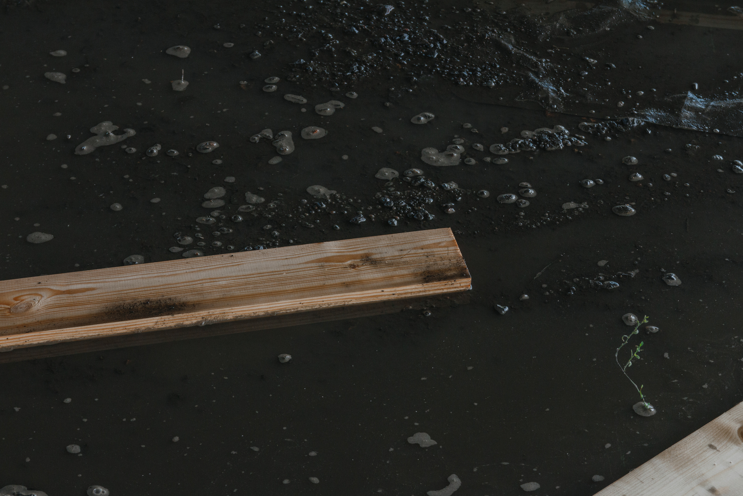 Defensive line. Mikhail Kurganov