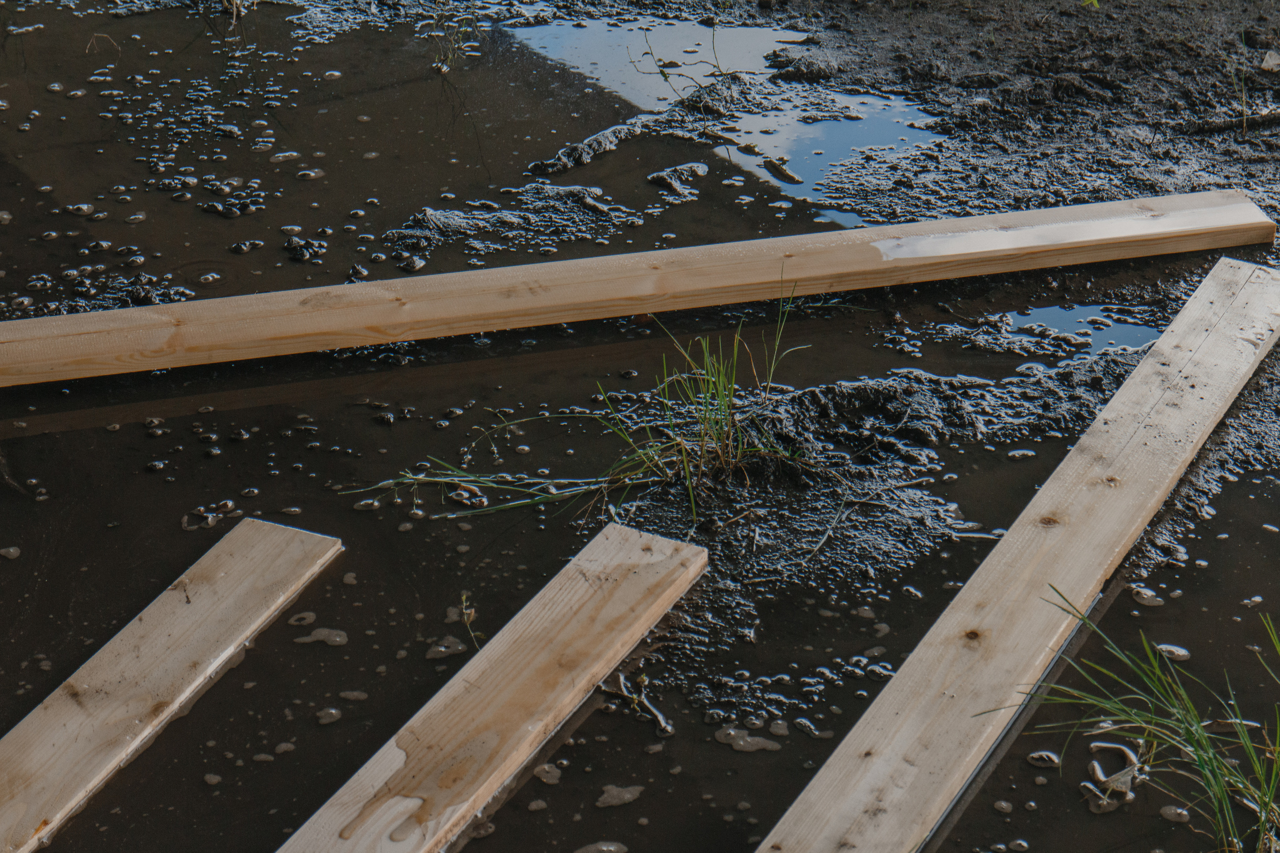 Defensive line. Mikhail Kurganov