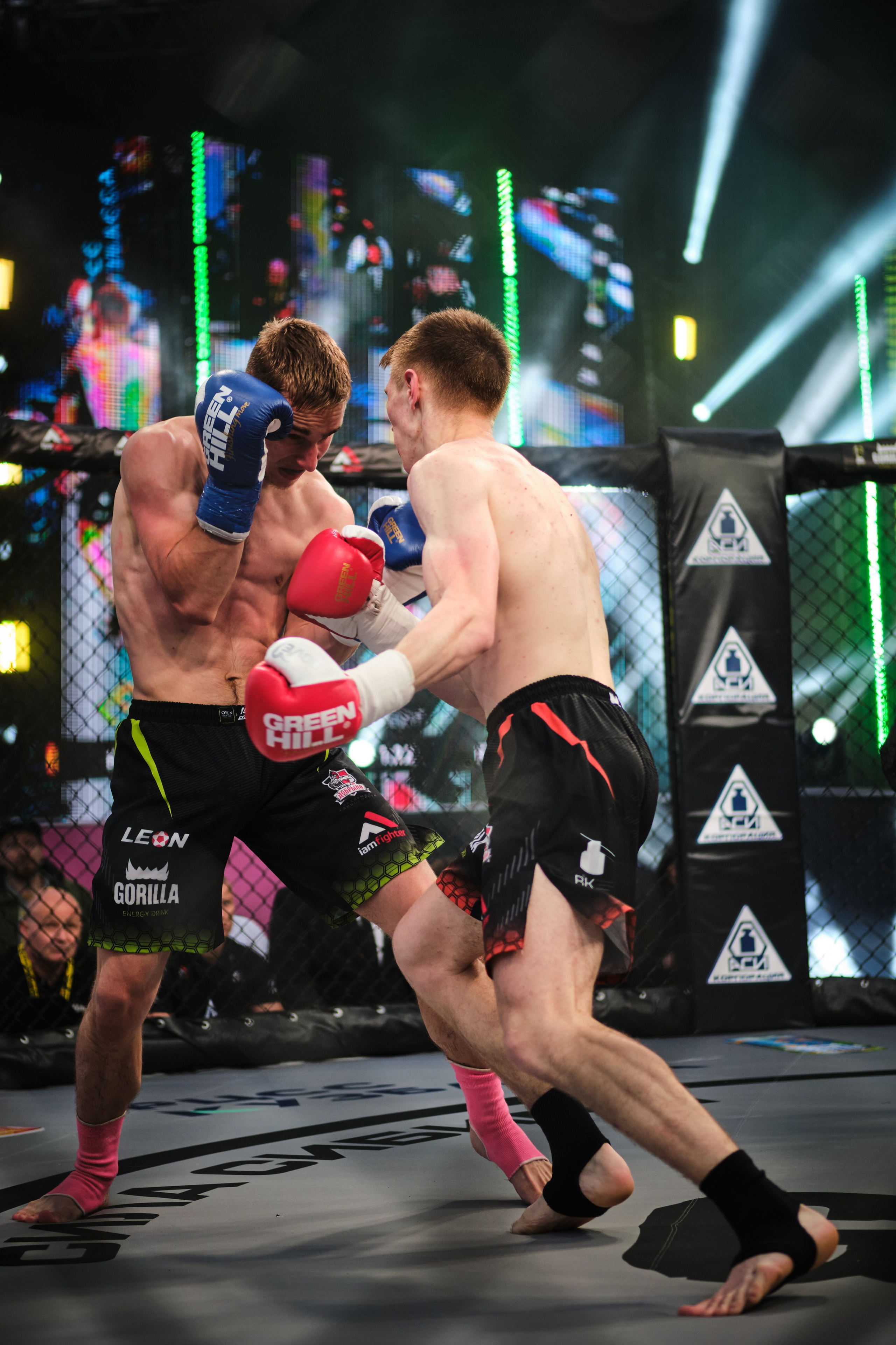 ММА на ПРО ГЕШ. Свадебный и семейный фотограф в Новокузнецке Иван Иванов