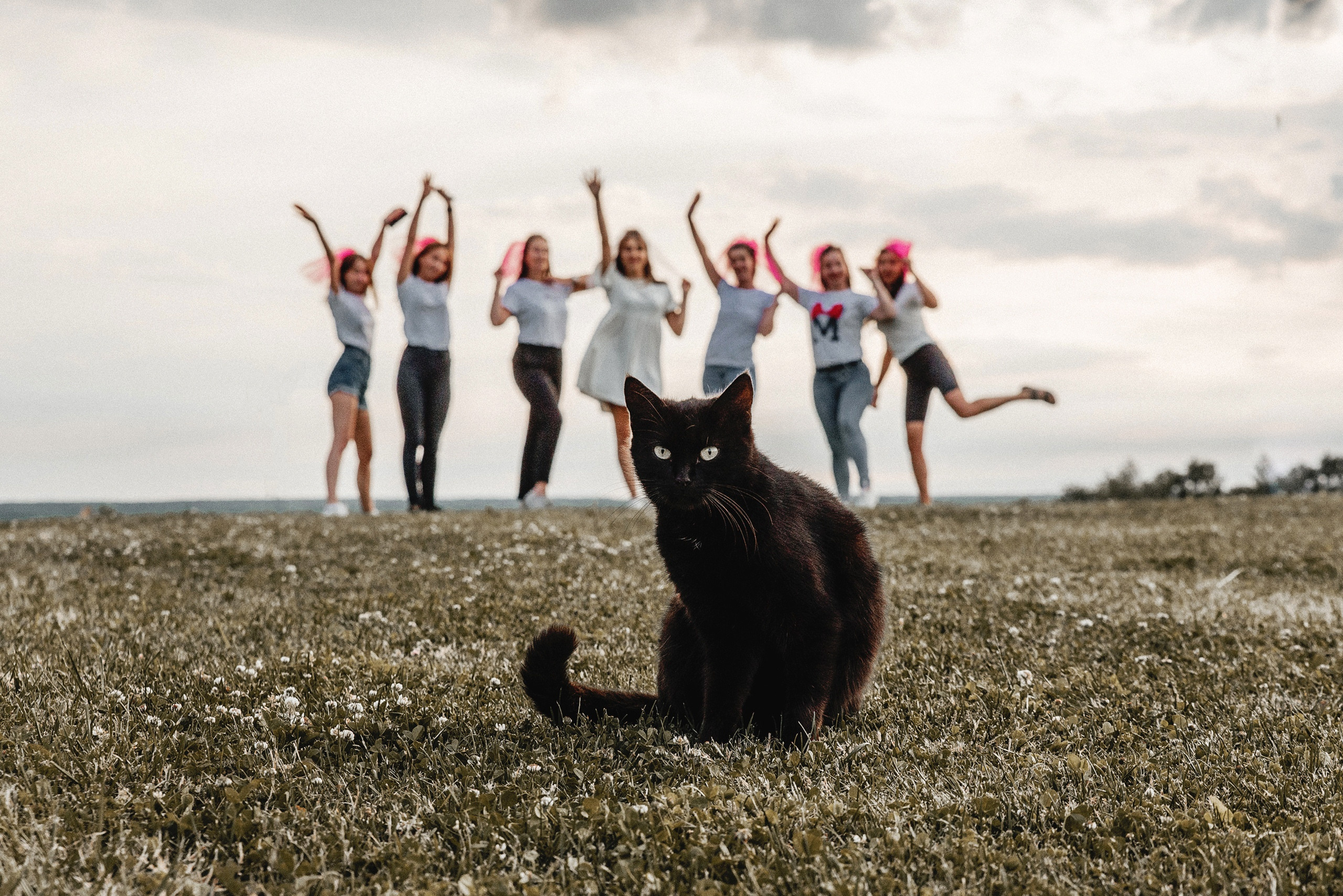 Свадебный. Фотограф Илья Бызов, Свадебный и репортажный фотограф Сочи