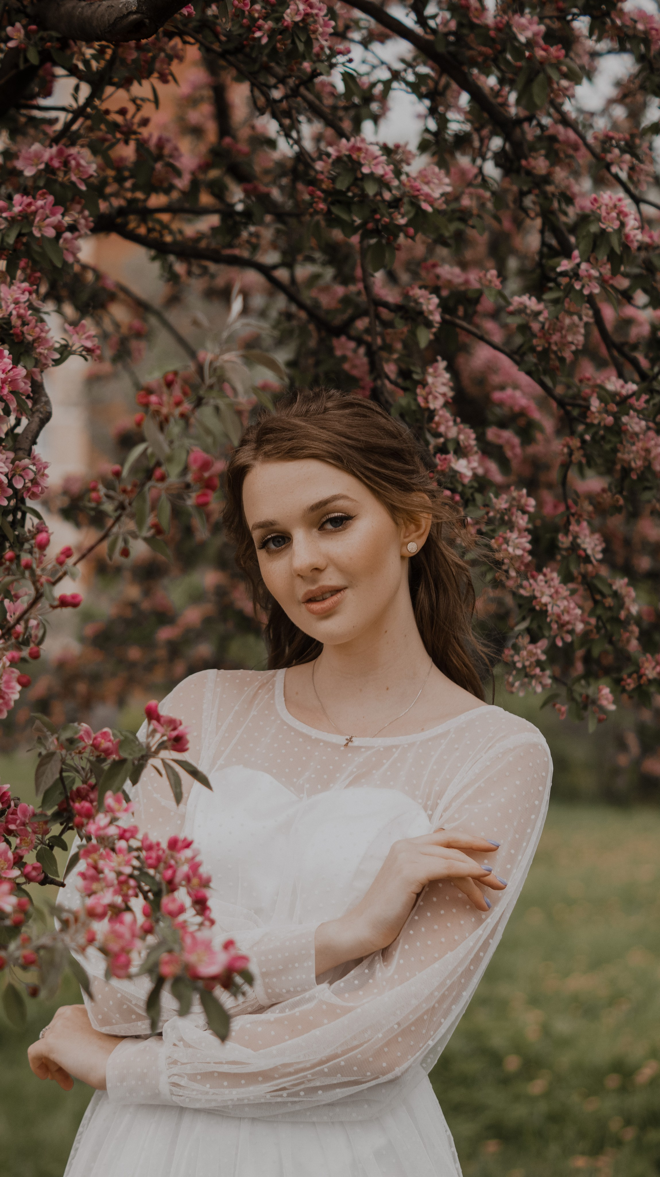 Цветение яблонь и вишни / Свадебная