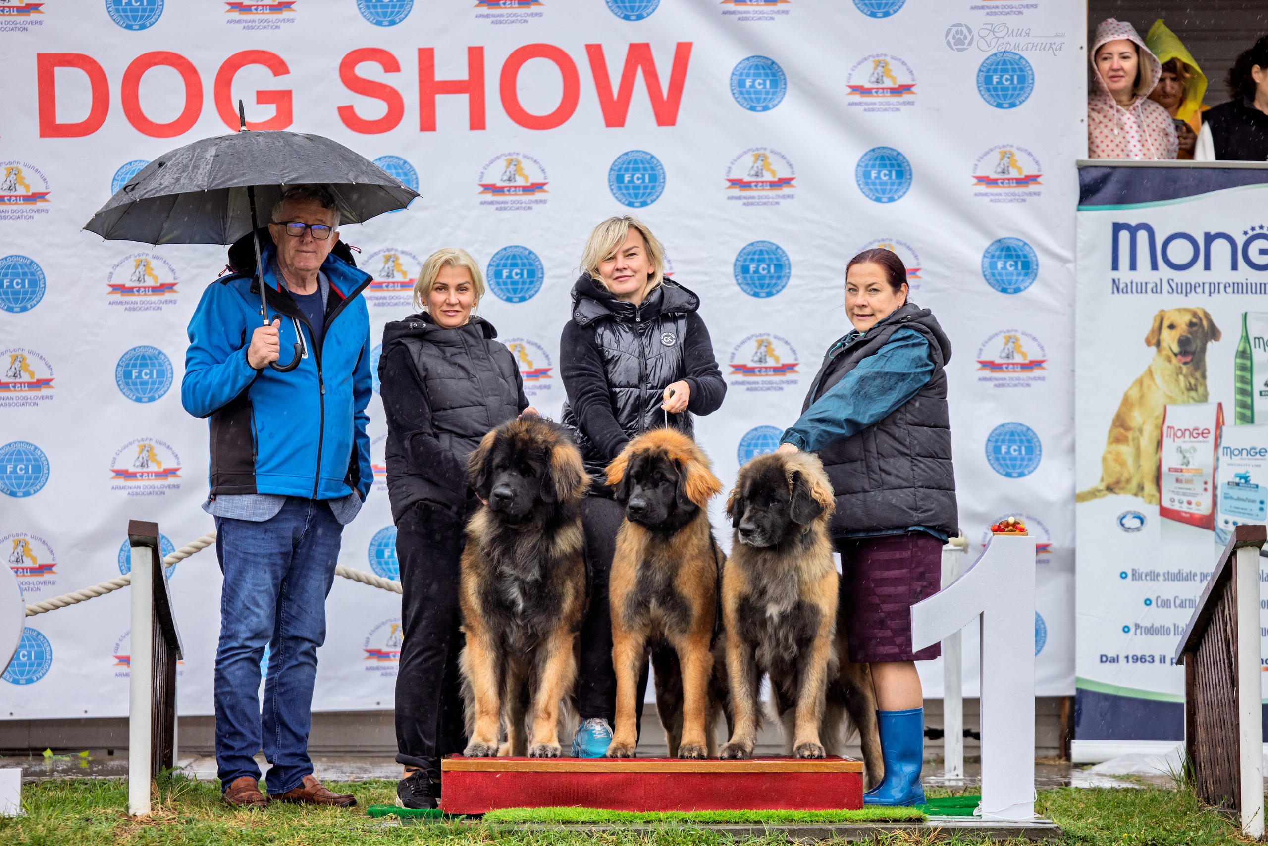 Армения,Ереван 3хCACIB 15-17.10.2024. Фотограф-анималист Юлия Германика