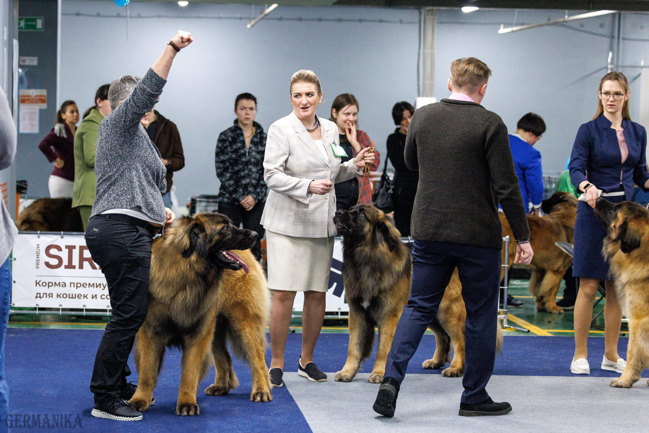 Сфера 28.01. и 4.02.2024. Фотограф-анималист Юлия Германика