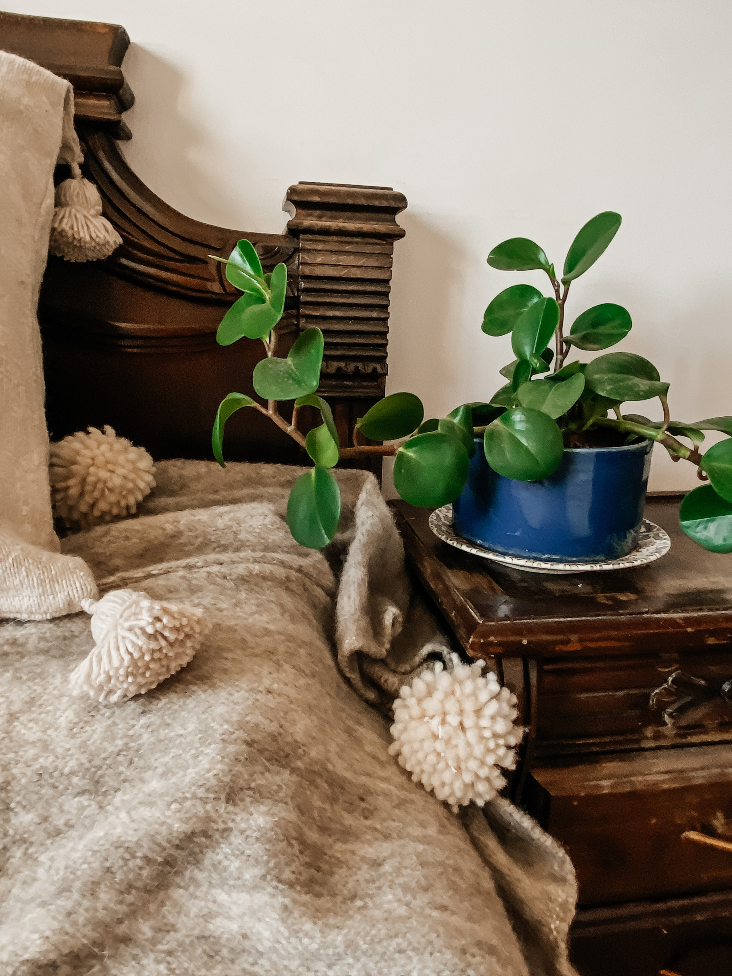 Предметная съемка. Olga Popova — Photographer in Morocco