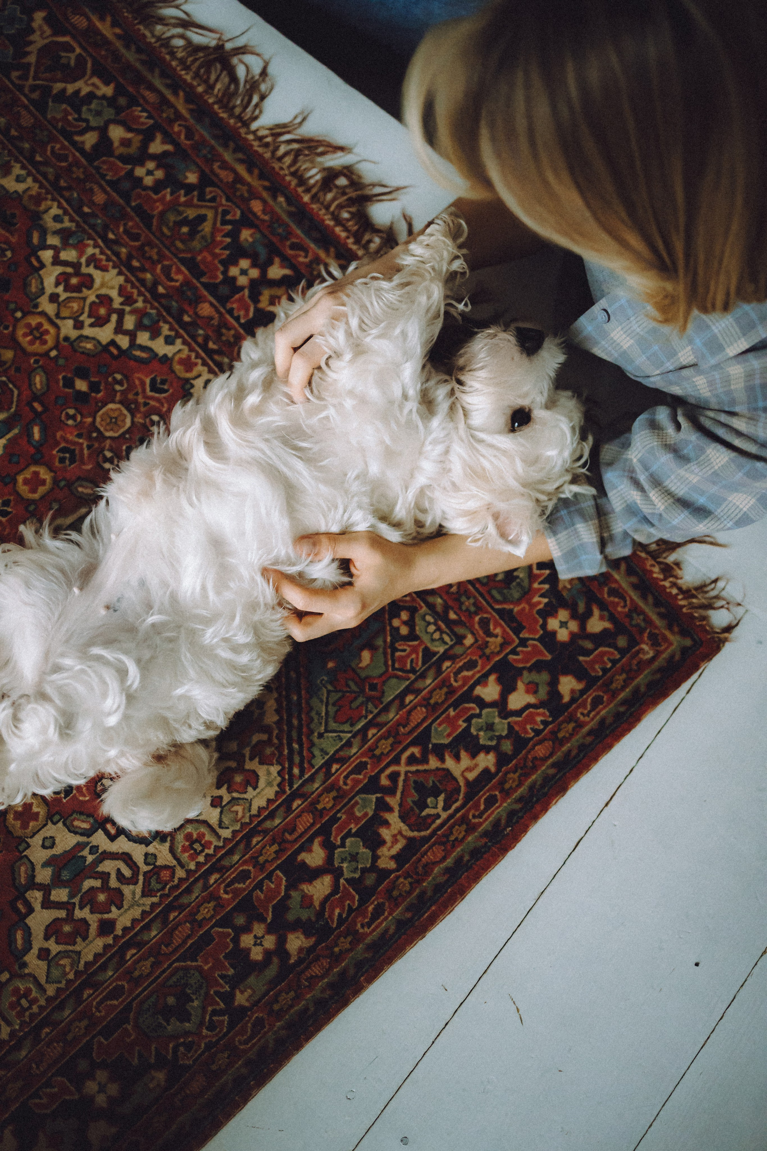 Вика, Глеб и Тори