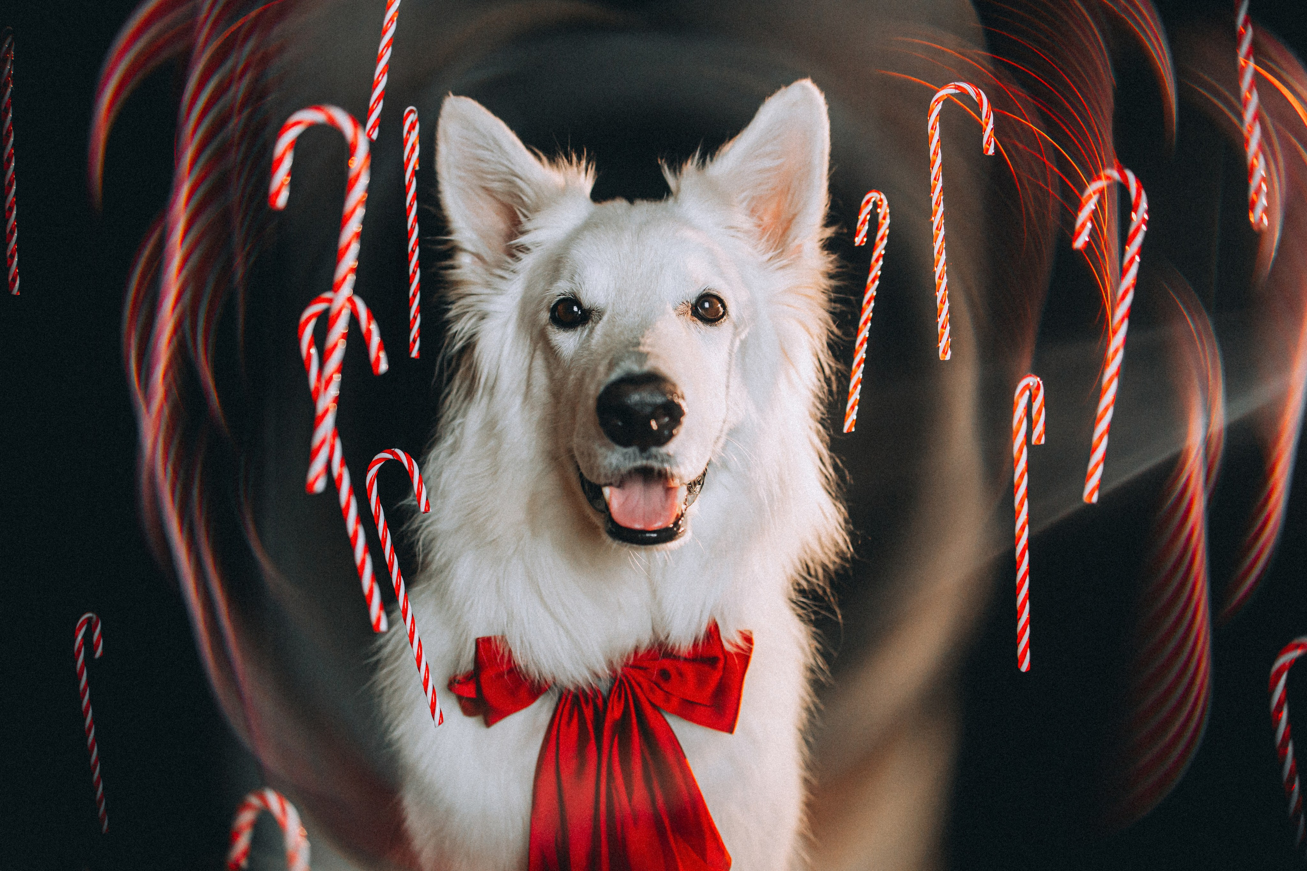 Джек, Бет и Кову