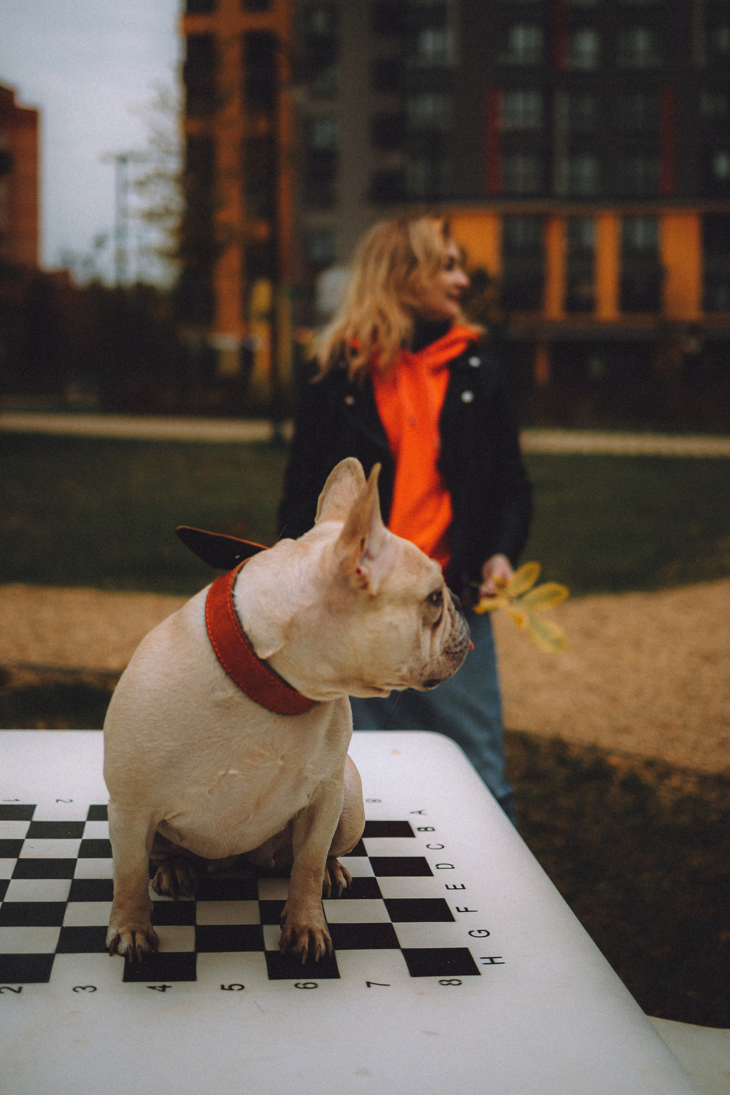 Антонина и Амиша