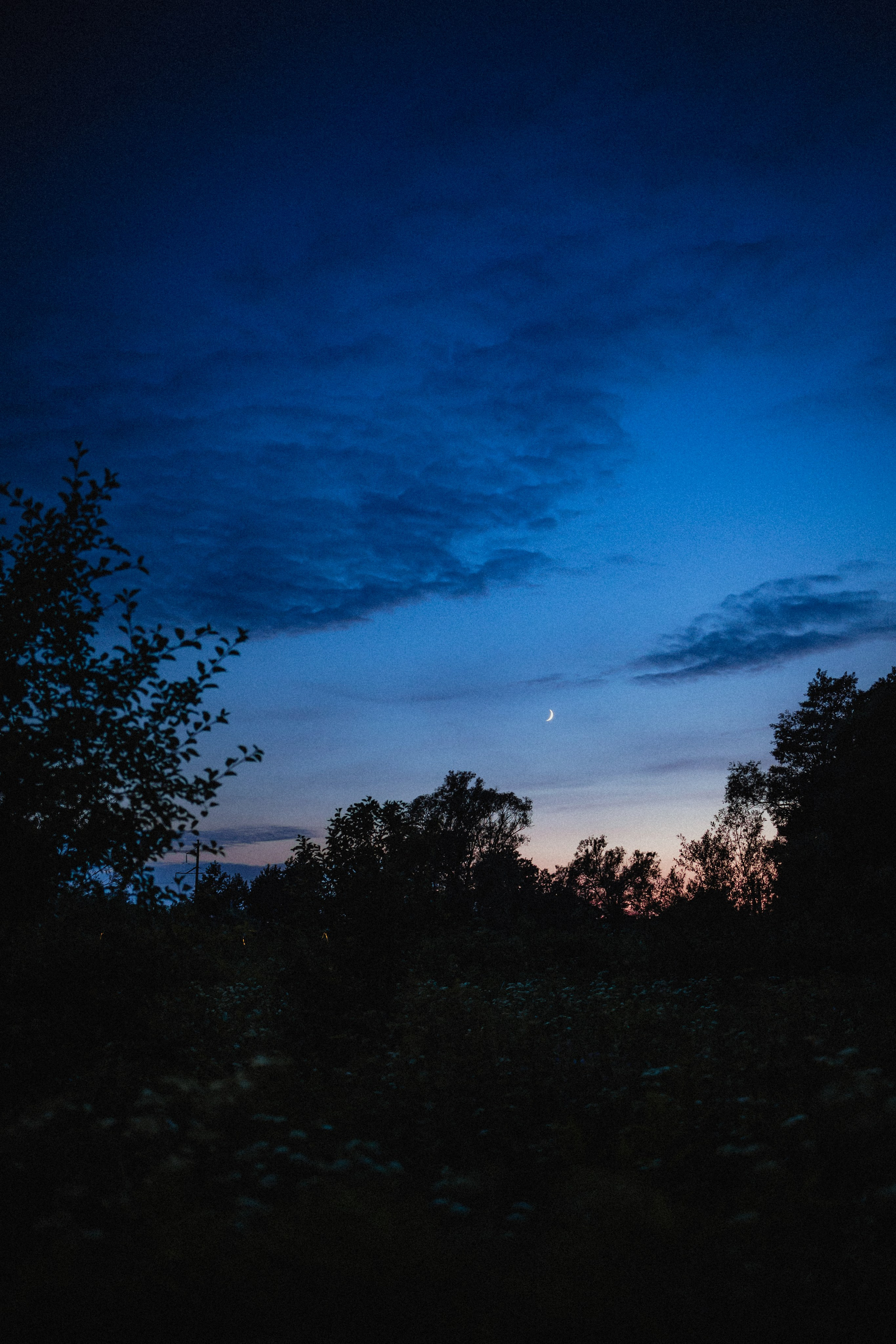 Выездной дог-тренинг от школы «Шерсть имею»