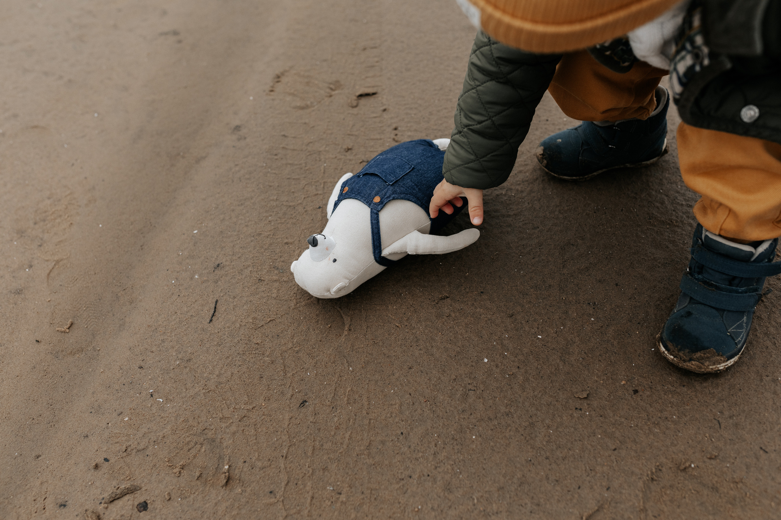 Осень. Свадебный фотограф Ярославль, Рыбинск