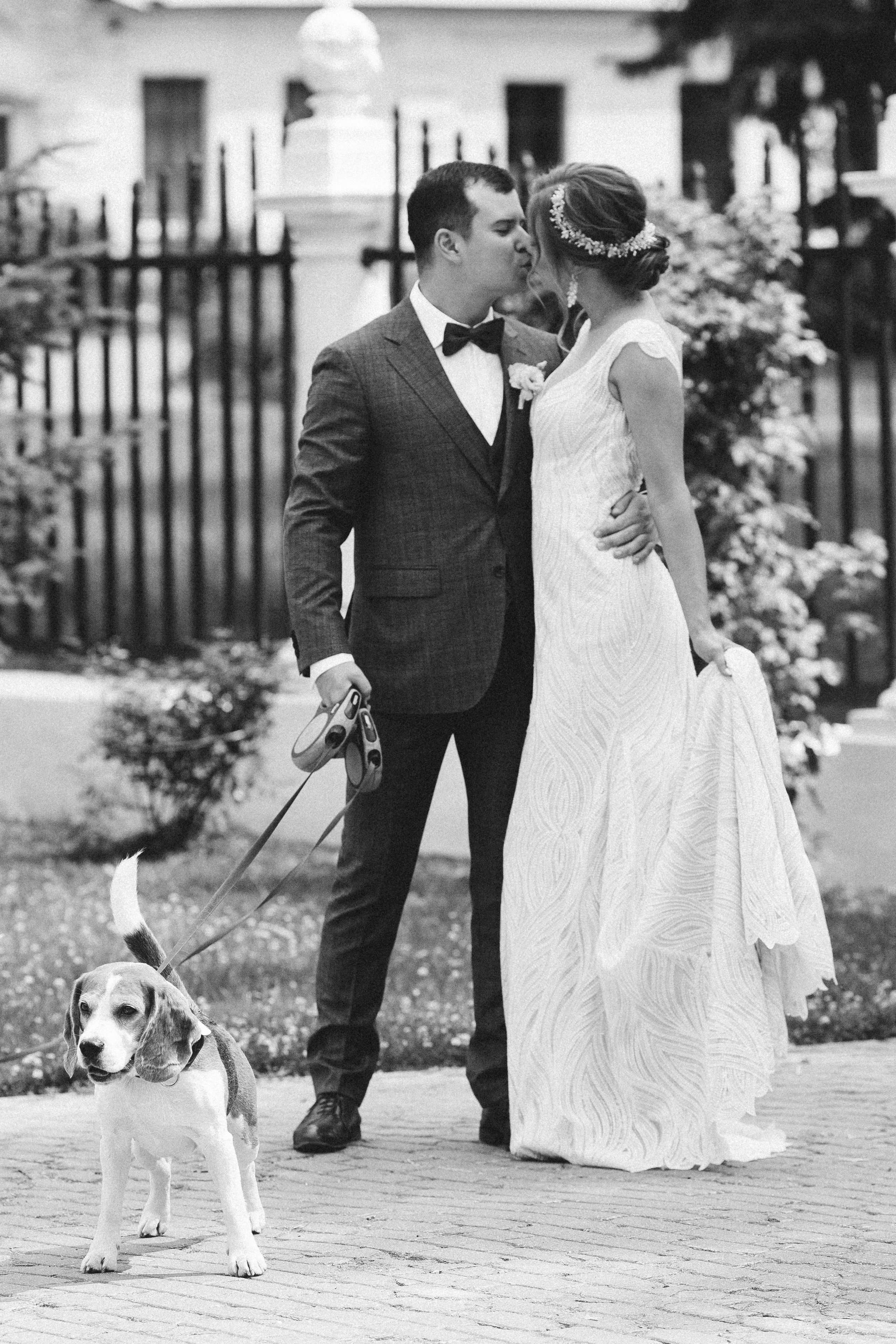 Свадьба в усадьбе «Середниково». Александр Чернин. Семейный и событийный фотограф