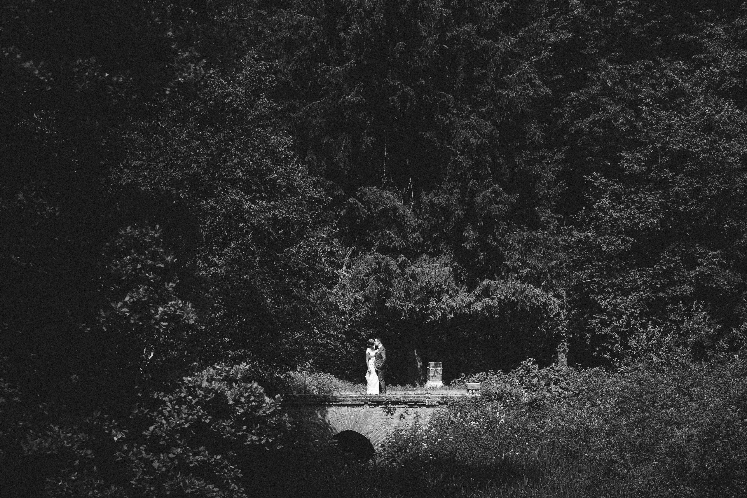 Свадьба в усадьбе «Середниково». Александр Чернин. Семейный и событийный фотограф