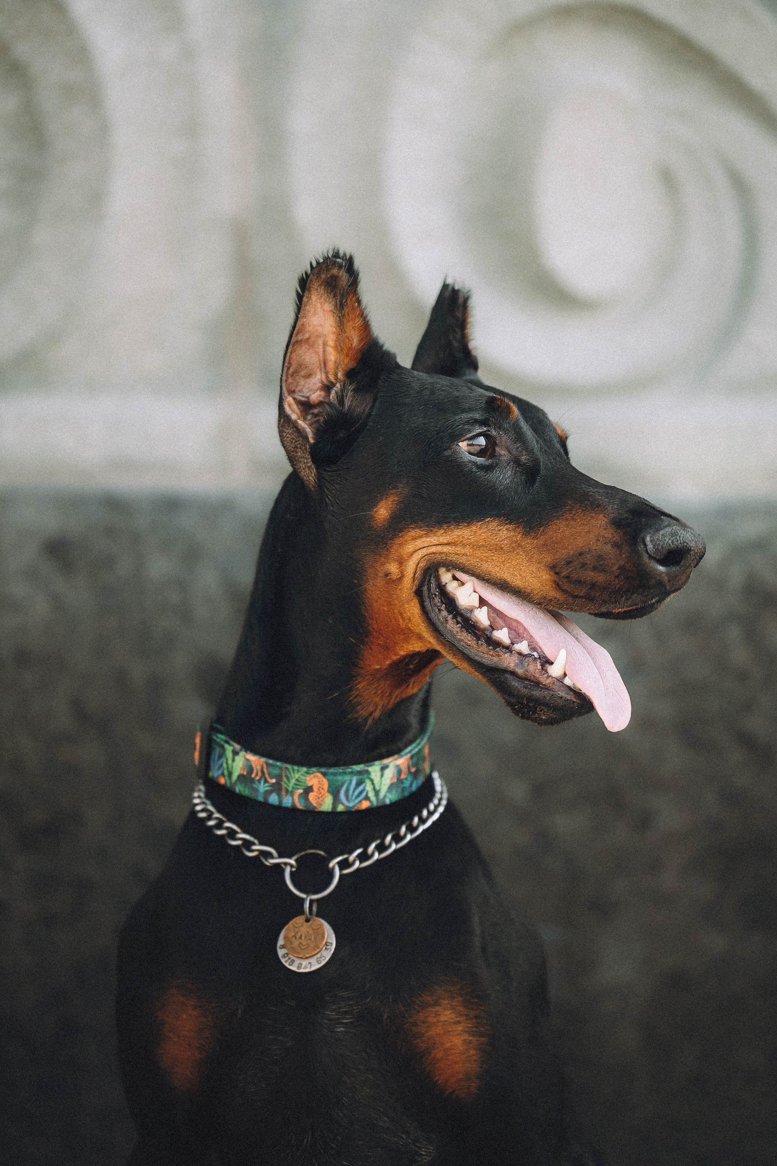 Паша и Хайди